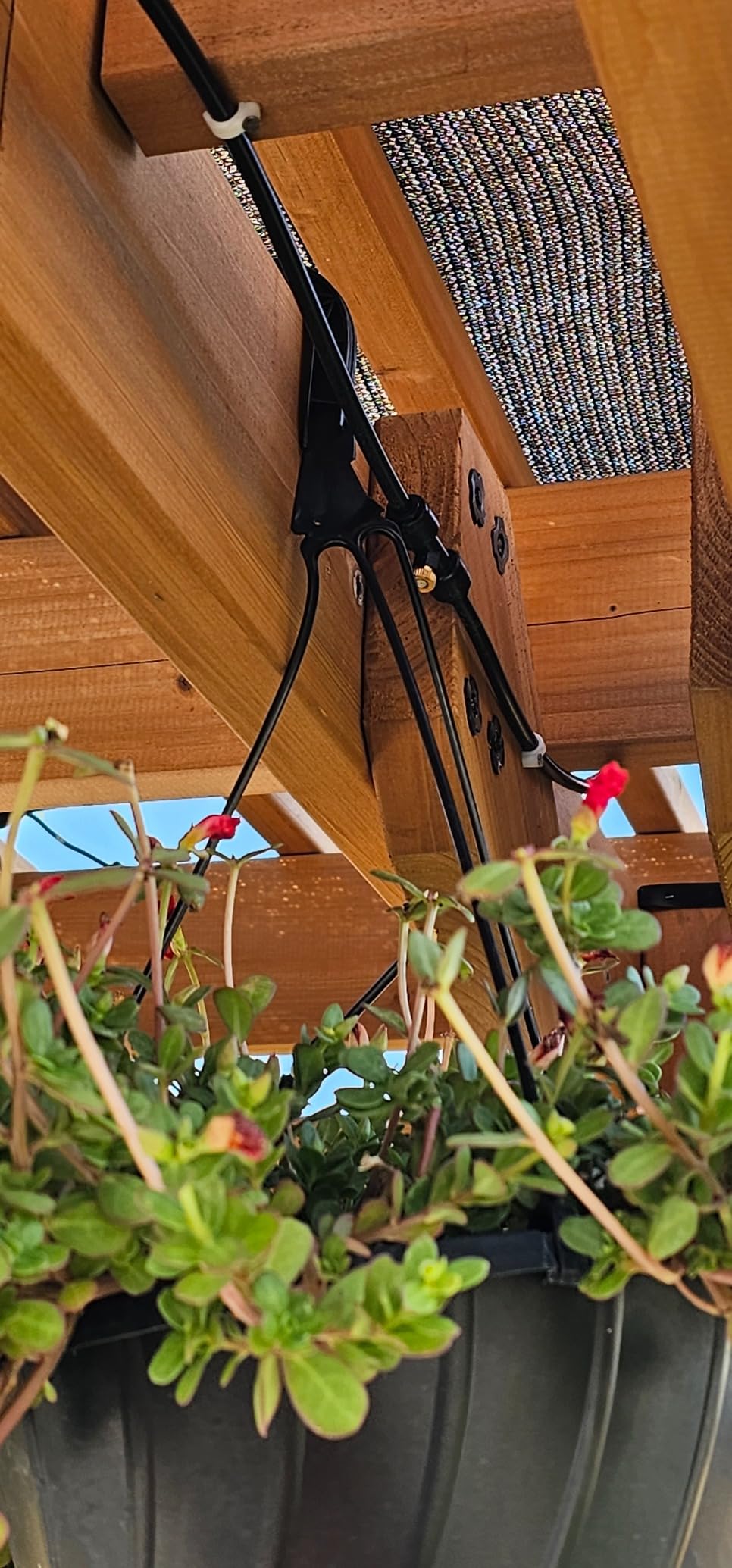 Bonviee 75FT Misters for Outside Patio, 23 Brass Nozzles, 3/4 Inch Adapter | 23M Outdoor Misting System for Patios, Gardens & Greenhouses customer photo 2