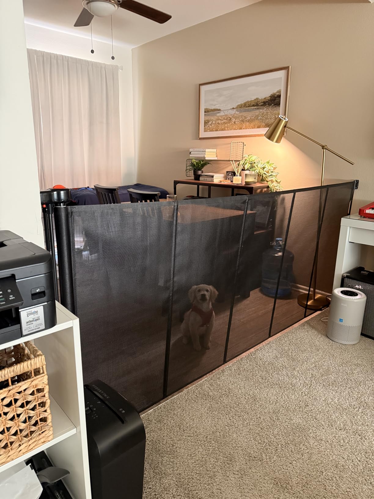 Pawtners Retractable Baby Gates Extra Wide, 41