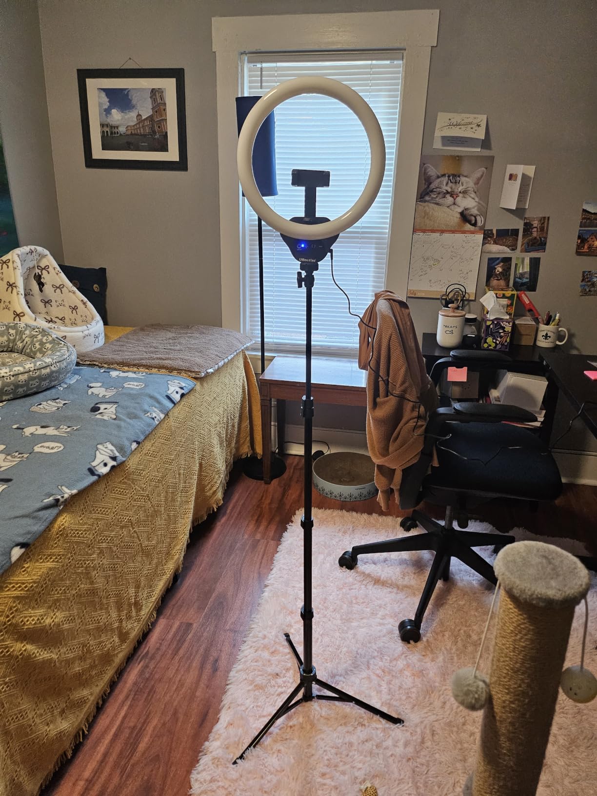 UBeesize 14'' LED Foldable Ring Light with 62'' Tripod Stand, Selfie Ring Light for Video Recording, Live Streaming, TikTok & YouTube, Compatible with iPhone & Android (Black) customer photo 2