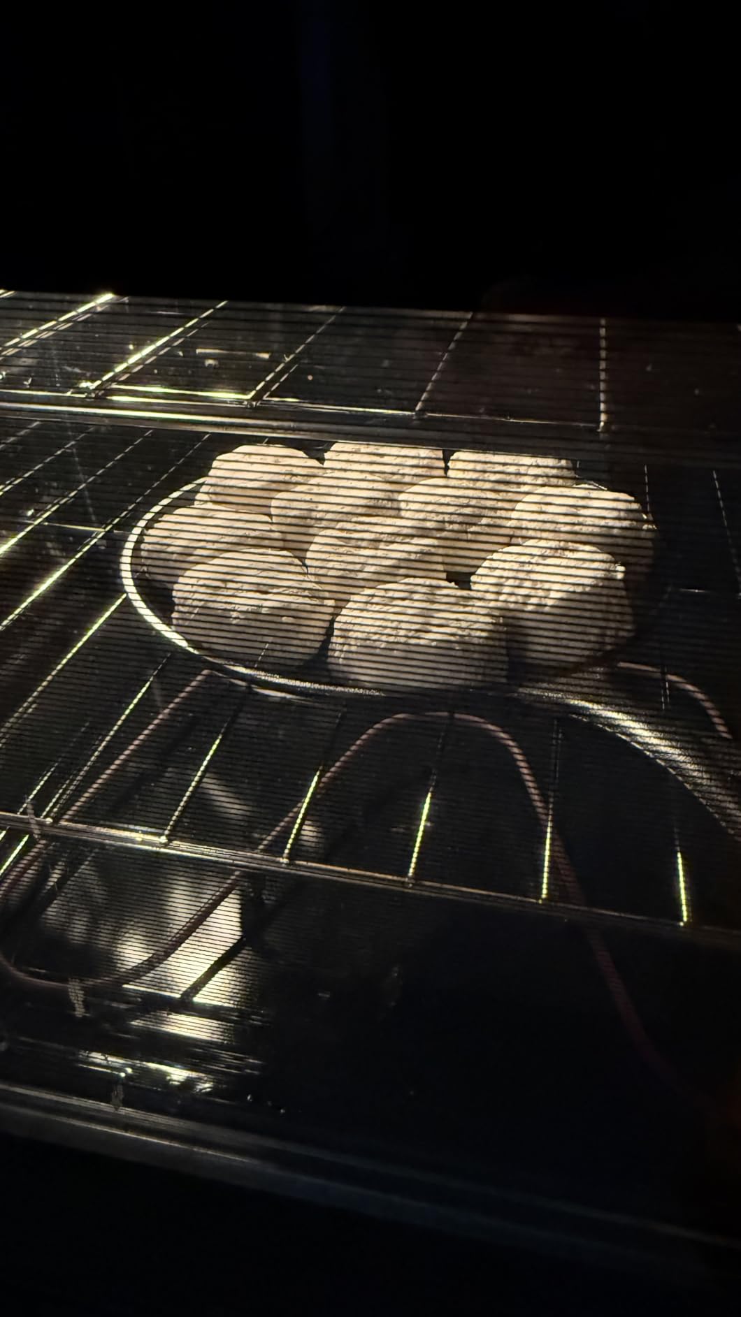 Lodge Round Seasoned Cast Iron Griddle, PFAS-Free, 10.5 Inches customer photo 1