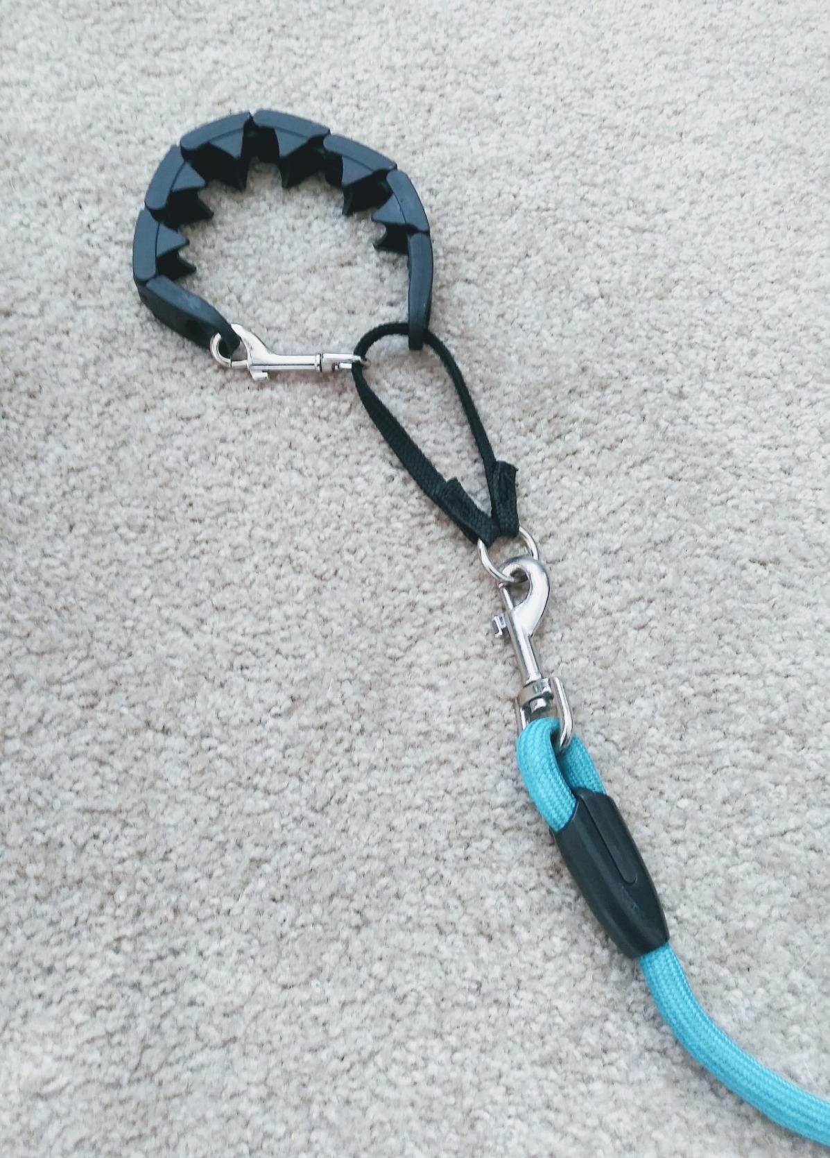 Starmark Pro-Training Dog Collar Large customer photo 2
