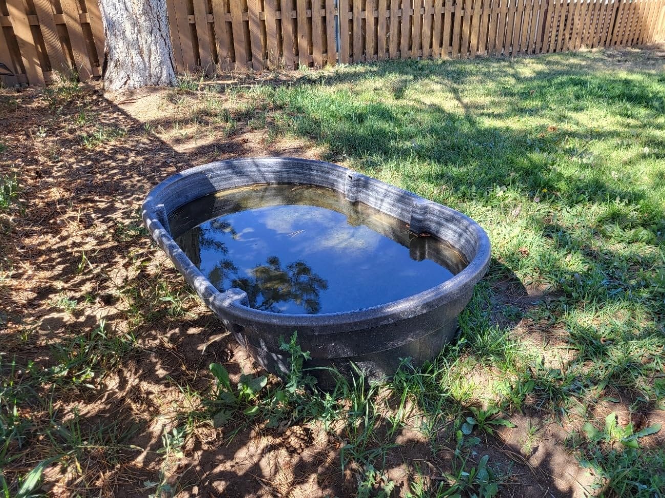 Rubbermaid Commercial Products Stock Tank, 50-Gallons, Structural Foam, Heavy Duty Container, for Livestock/Animal/Cattle Feed & Water, Outdoor Homemade Pool/Hot Tub/Bathtub, & Pet Cleaning/Dog Wash customer photo 2