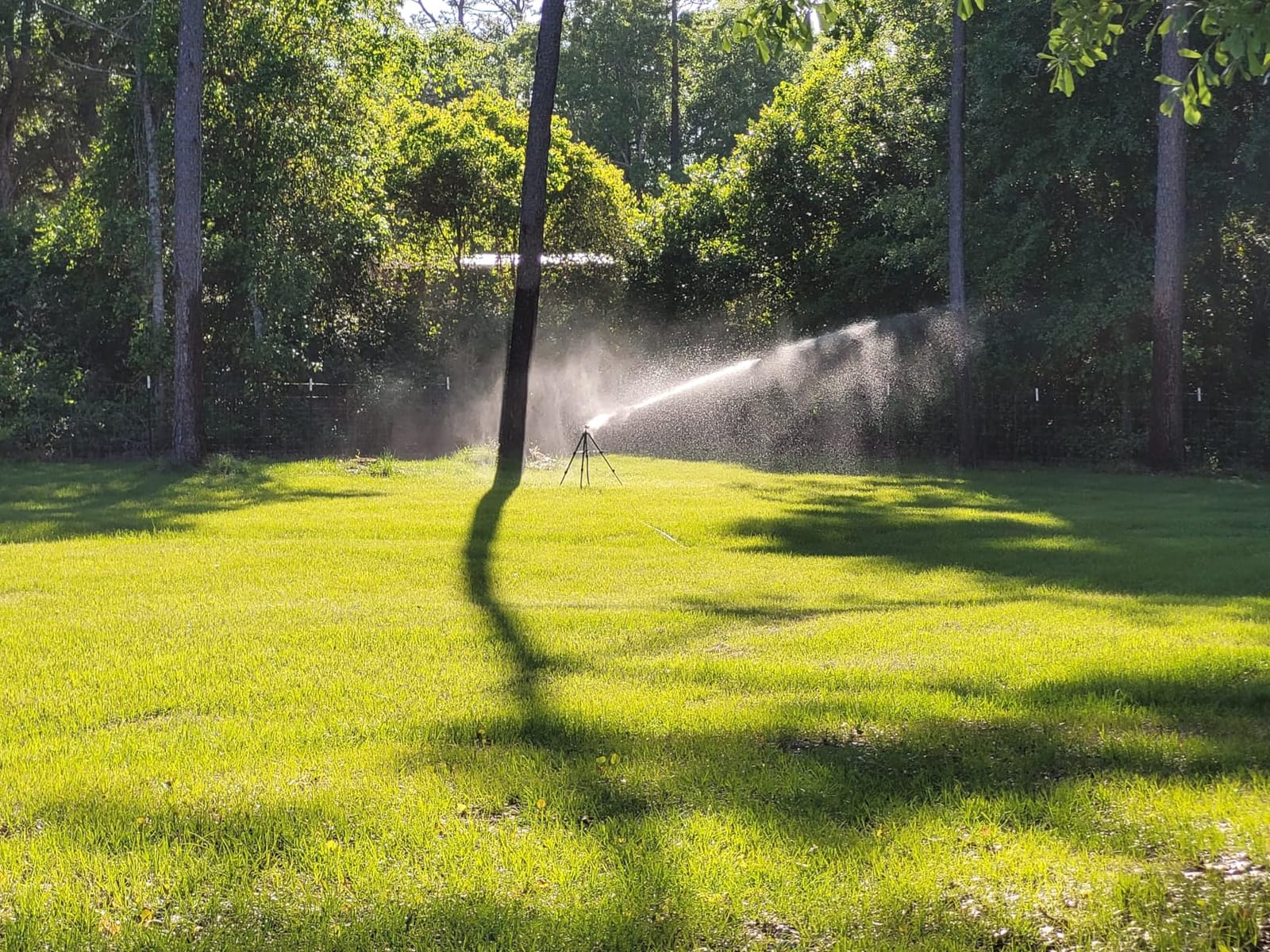 Orbit Tripod Lawn Zinc Impact Sprinkler - 360 Degree Rotating Yard Sprinkler with Adjustable Height - Heavy-Duty Zinc - High-Pressure Nozzle - for Large Lawn Coverage - 56667 customer photo 1