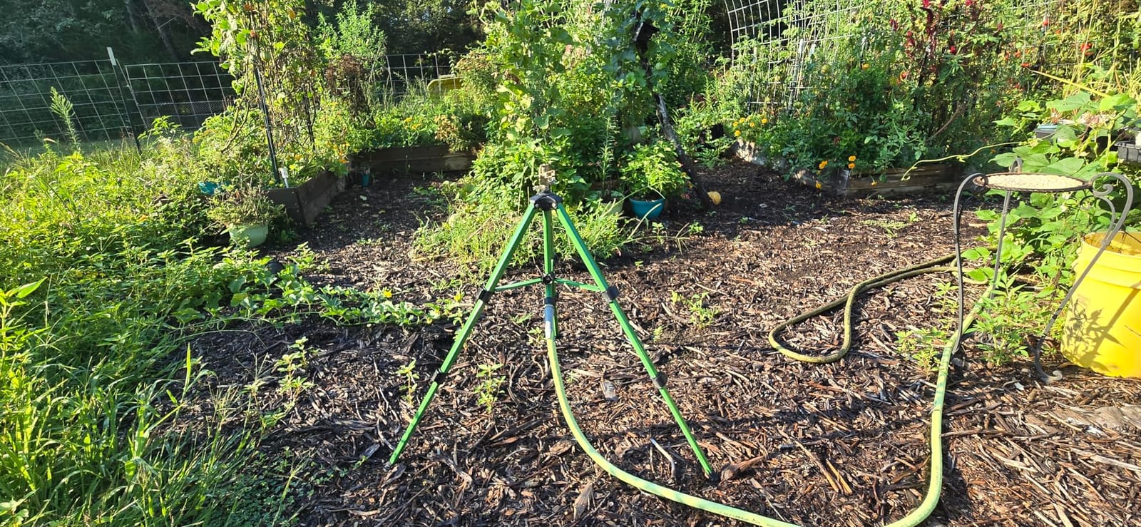 Orbit Tripod Lawn Zinc Impact Sprinkler - 360 Degree Rotating Yard Sprinkler with Adjustable Height - Heavy-Duty Zinc - High-Pressure Nozzle - for Large Lawn Coverage - 56667 customer photo 2