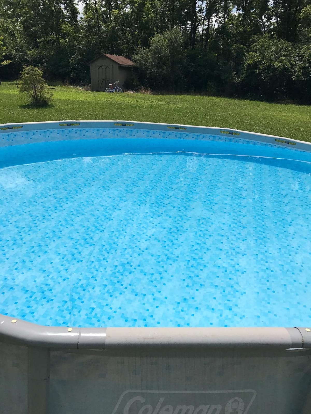 INTEX Deluxe Above Ground Pool Maintenance Kit with Vacuum customer photo 2