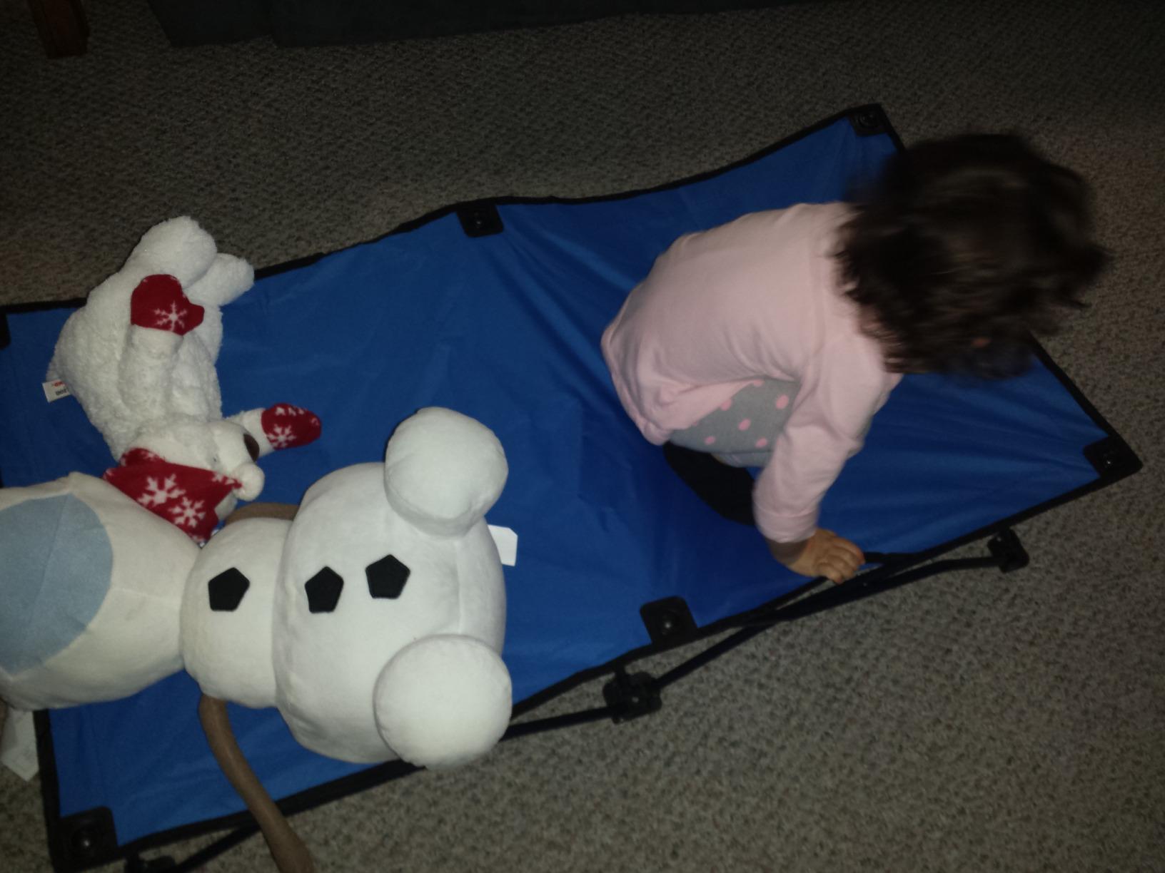 Regalo My Cot® Portable Toddler Bed, Foldable Kids Travel Bed & Camping Cot, Lightweight Sleeping Cot for Toddlers, Indoor/Outdoor, 46.5” x 24” x 9.5”, Pink customer photo 1
