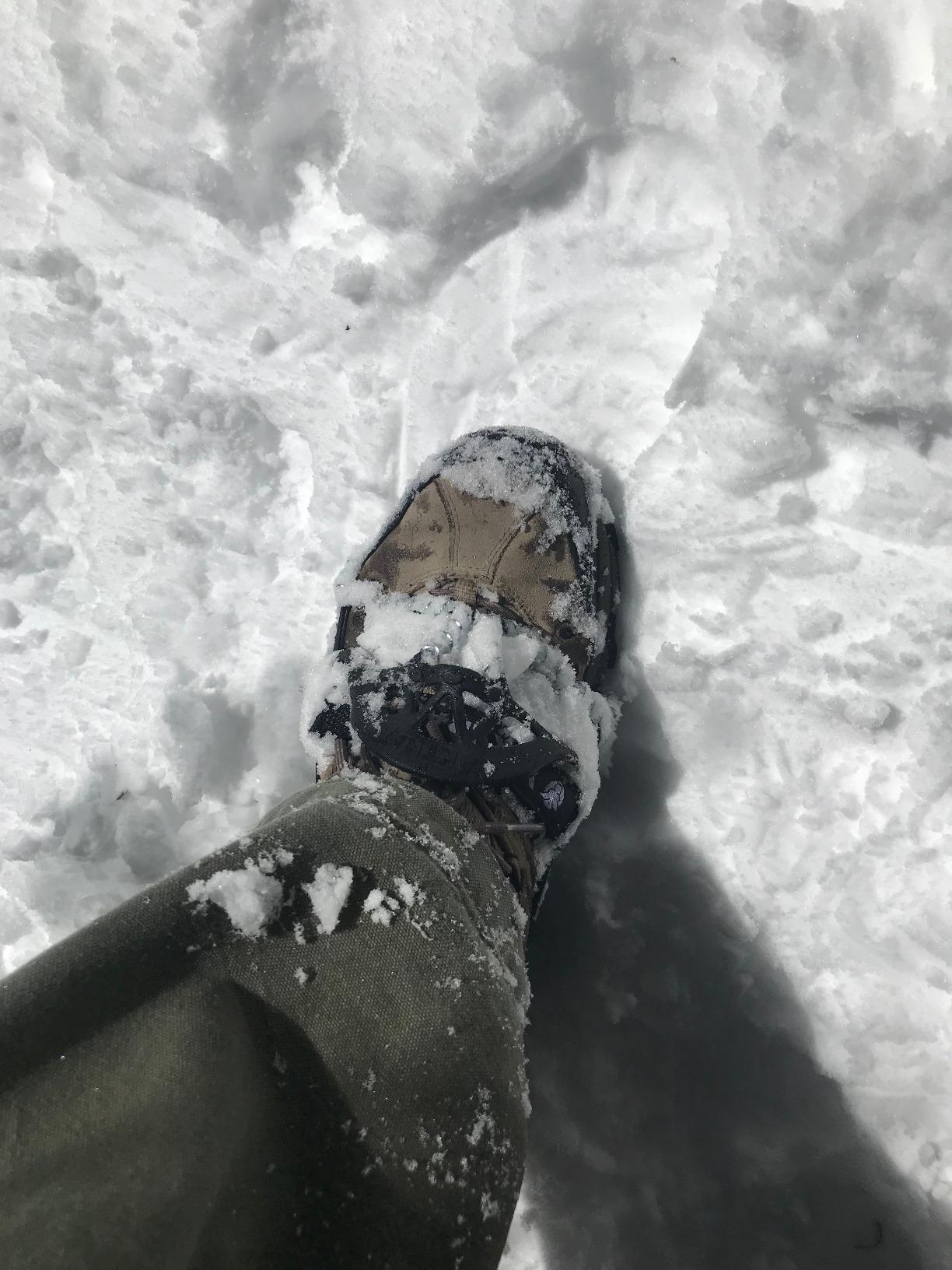 Yaktrax Pro Traction Cleats - 360-Degree Grip on Snow, Ice, & Multi-Terrain Surfaces - Elastic Outer Band w/Easy-On/Off Heel Tab & 1.4mm Stainless Steel Coils - Abrasion Resistant - Unisex customer photo 1