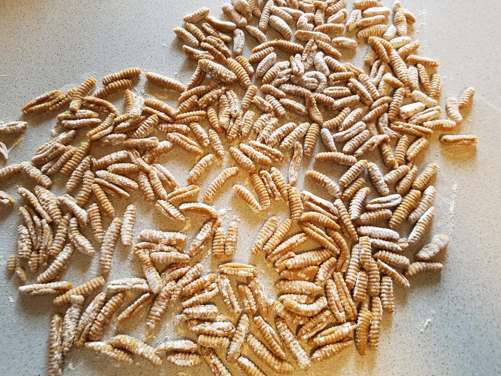 Fantes Cavatelli Maker Machine for Authentic Italian Pasta, The Italian Market Original since 1906 customer photo 1