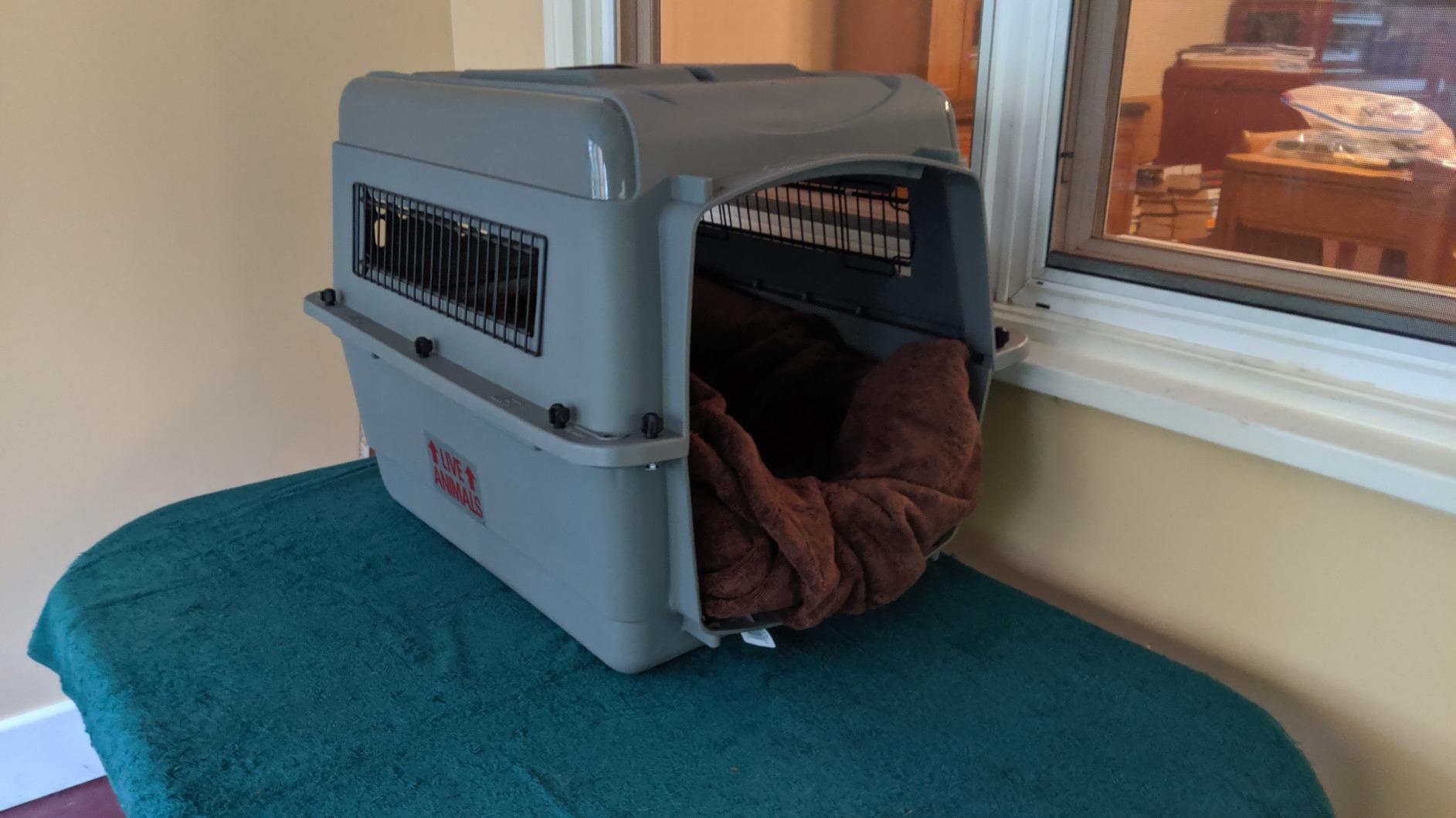 Petmate Sky Kennel for Air Travel, 28in Dog Crate for Pets 15 to 30lbs customer photo 2