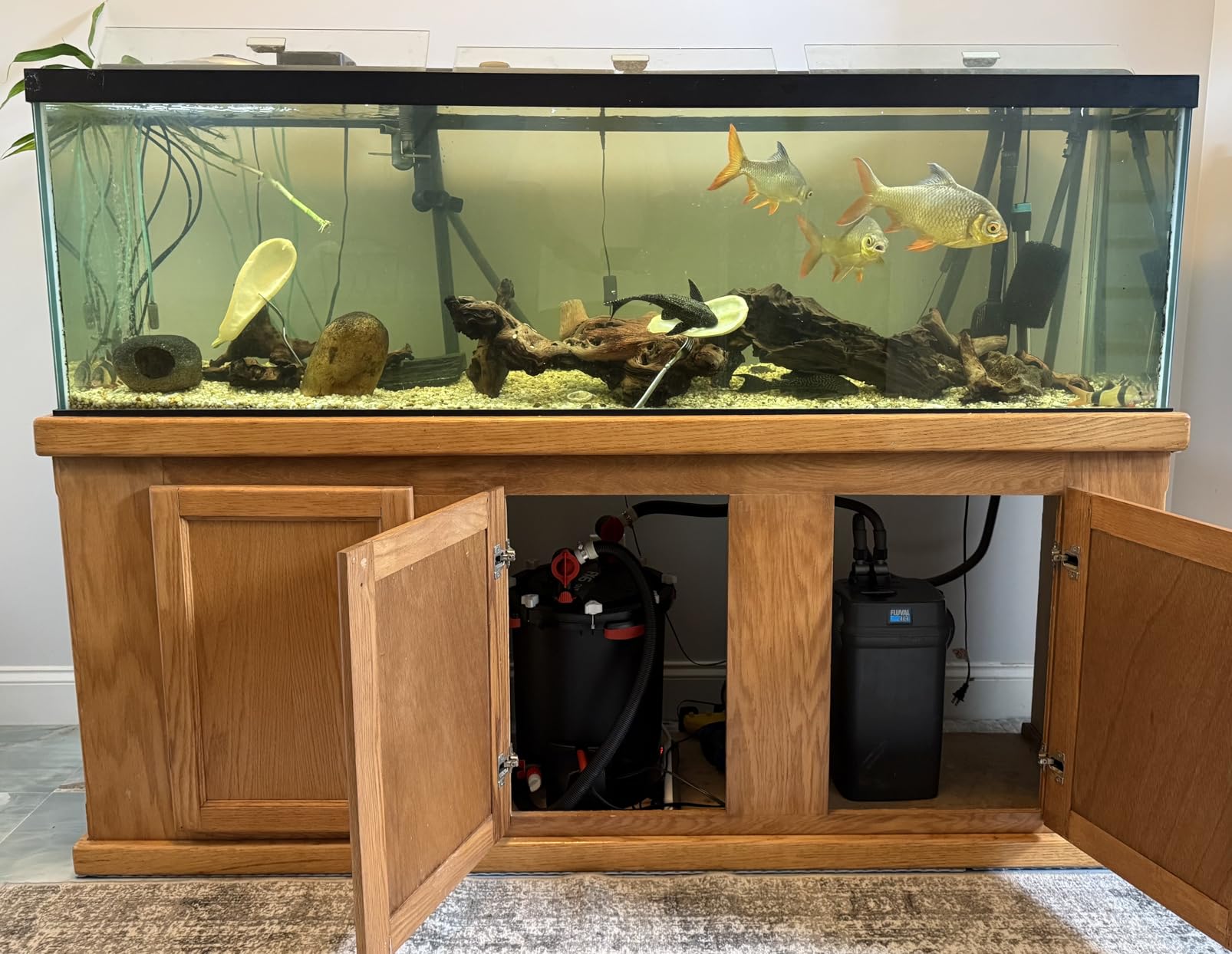 Fluval FX6 High Performance Aquarium Filter, up to 400 Gal. | Canister Filter for Aquariums customer photo 1