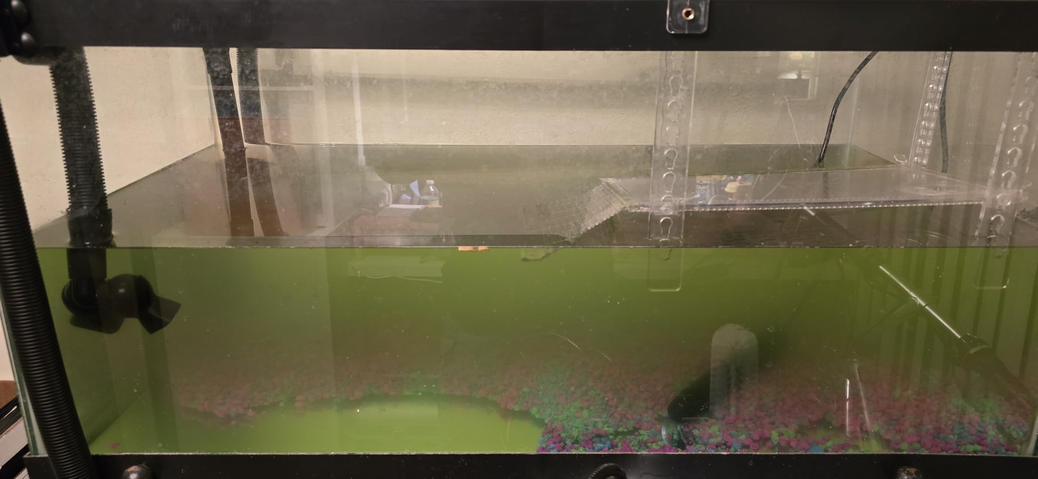 Fluval FX6 High Performance Aquarium Filter, up to 400 Gal. | Canister Filter for Aquariums customer photo 2