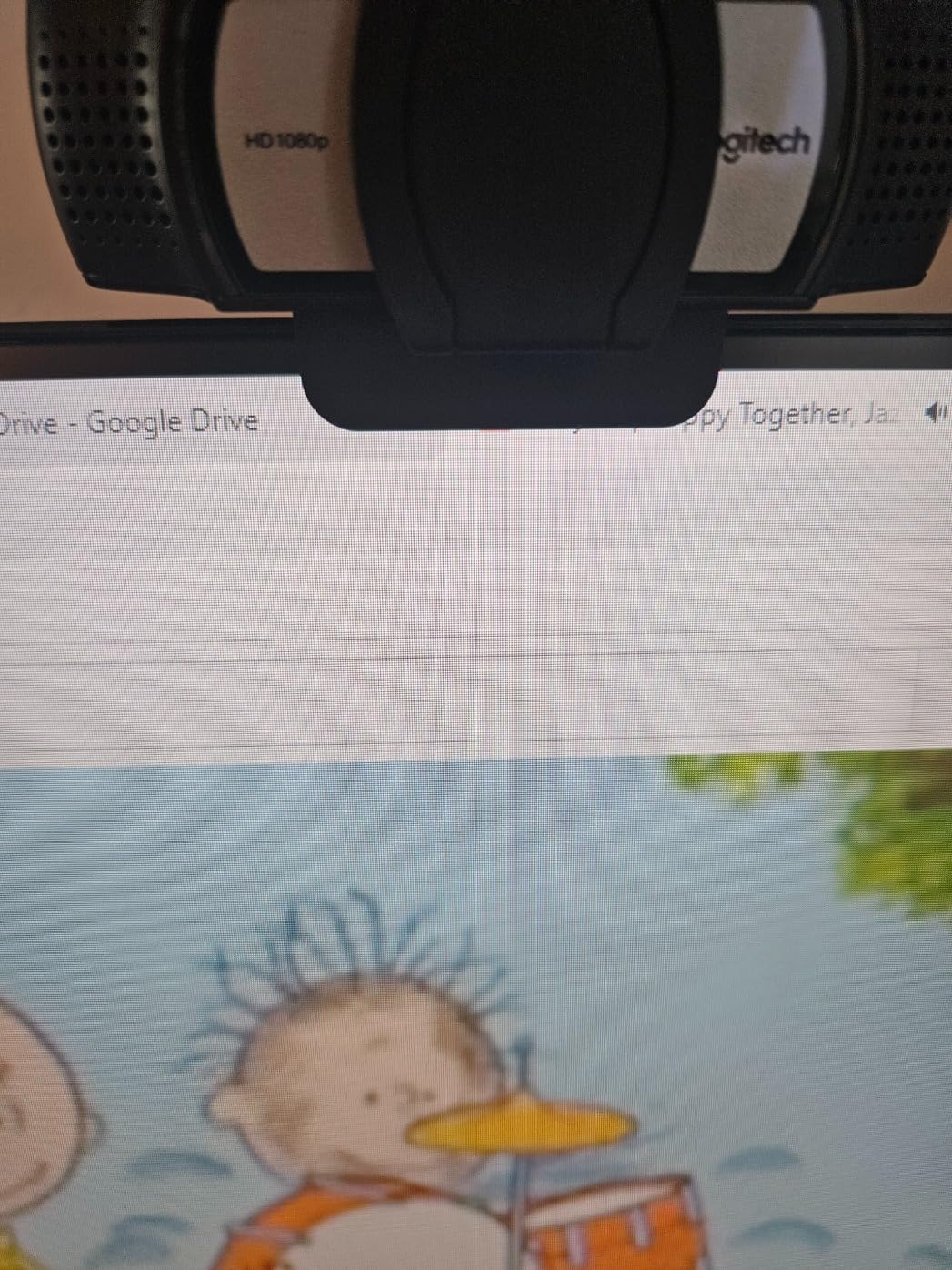 Logitech C930e Webcam customer photo 2
