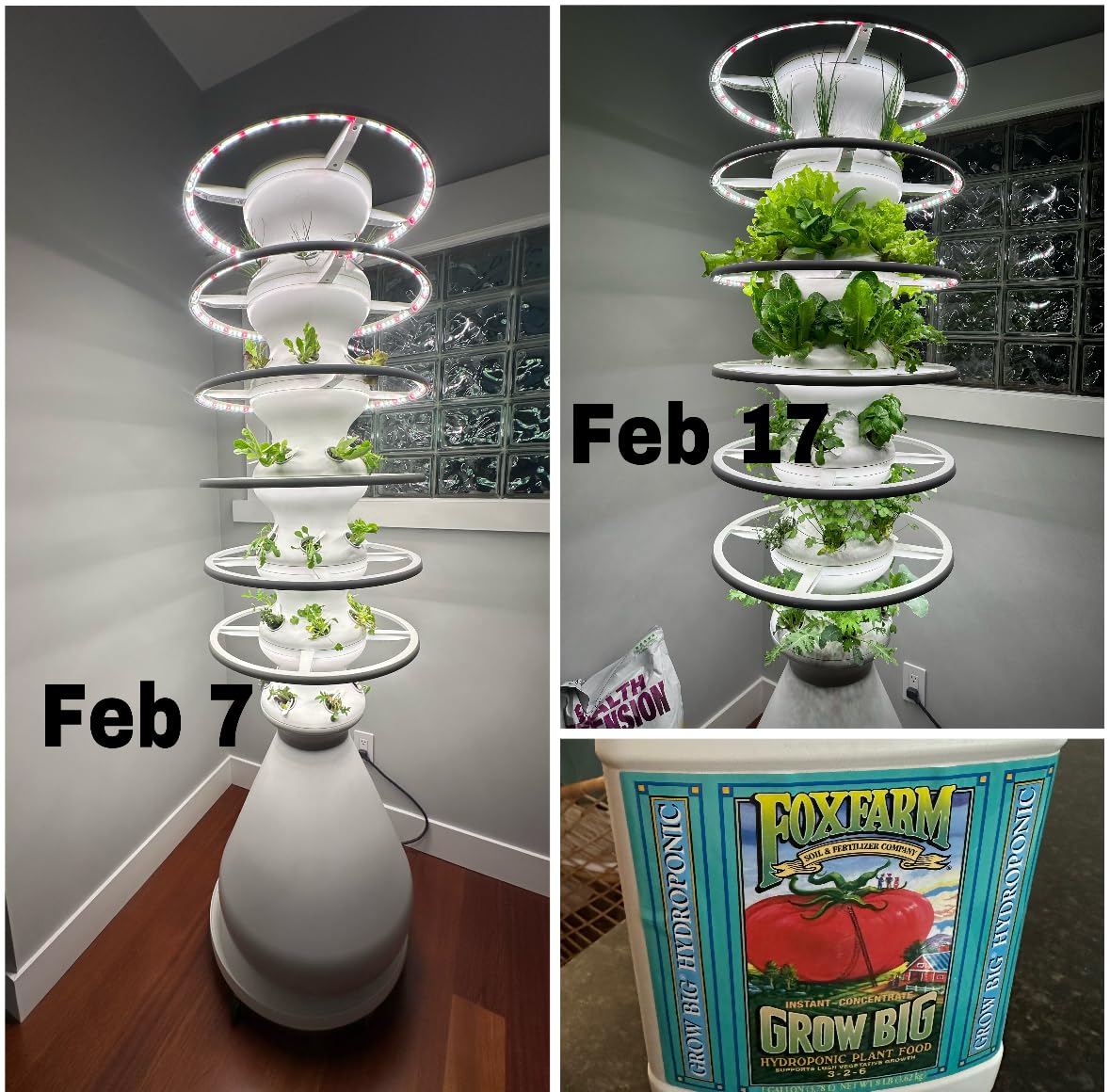 FoxFarm Grow Big Hydroponic Plant Food - 3-2-6 Liquid Plant Fertilizer for Lush Vegetative Growth in Hydroponic Systems - Liquid Concentrate with Earthworm Castings & Micronutrients - 1 Pint customer photo 2