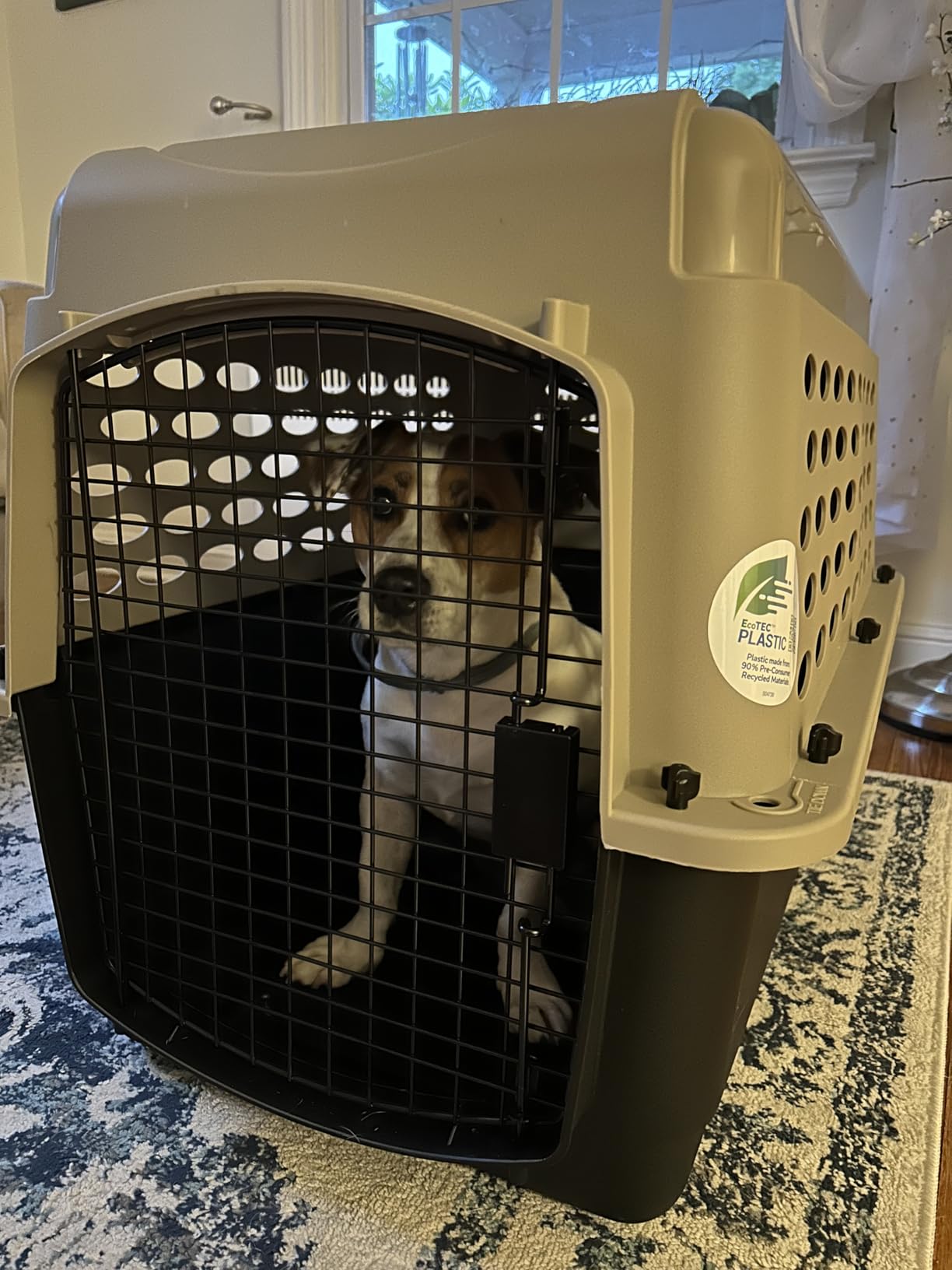 Petmate Vari Dog Kennel, Portable Pet Carrier, Taupe and Black, 28in customer photo 2