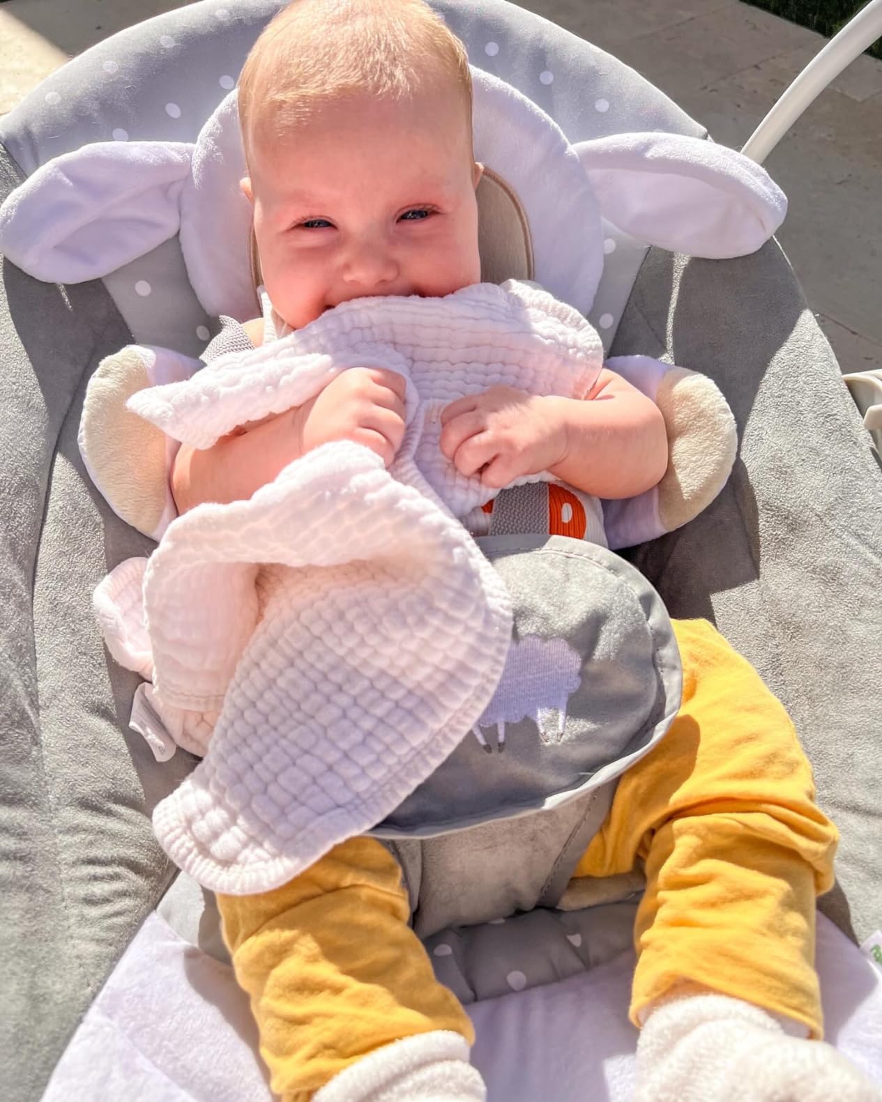 Ingenuity Soothe 'n Delight Compact Portable 6-Speed Plush Baby Swing with Music, Folds Easy, 0-9 Months 6-20 lbs (Cozy Kingdom) customer photo 2