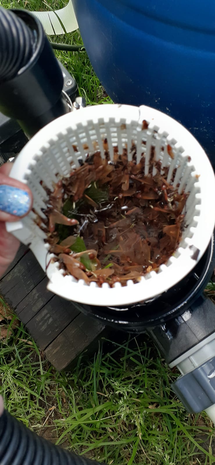 Pentair 360100 Kreepy Krauly Lil Shark Above Ground Pool Cleaner customer photo 1