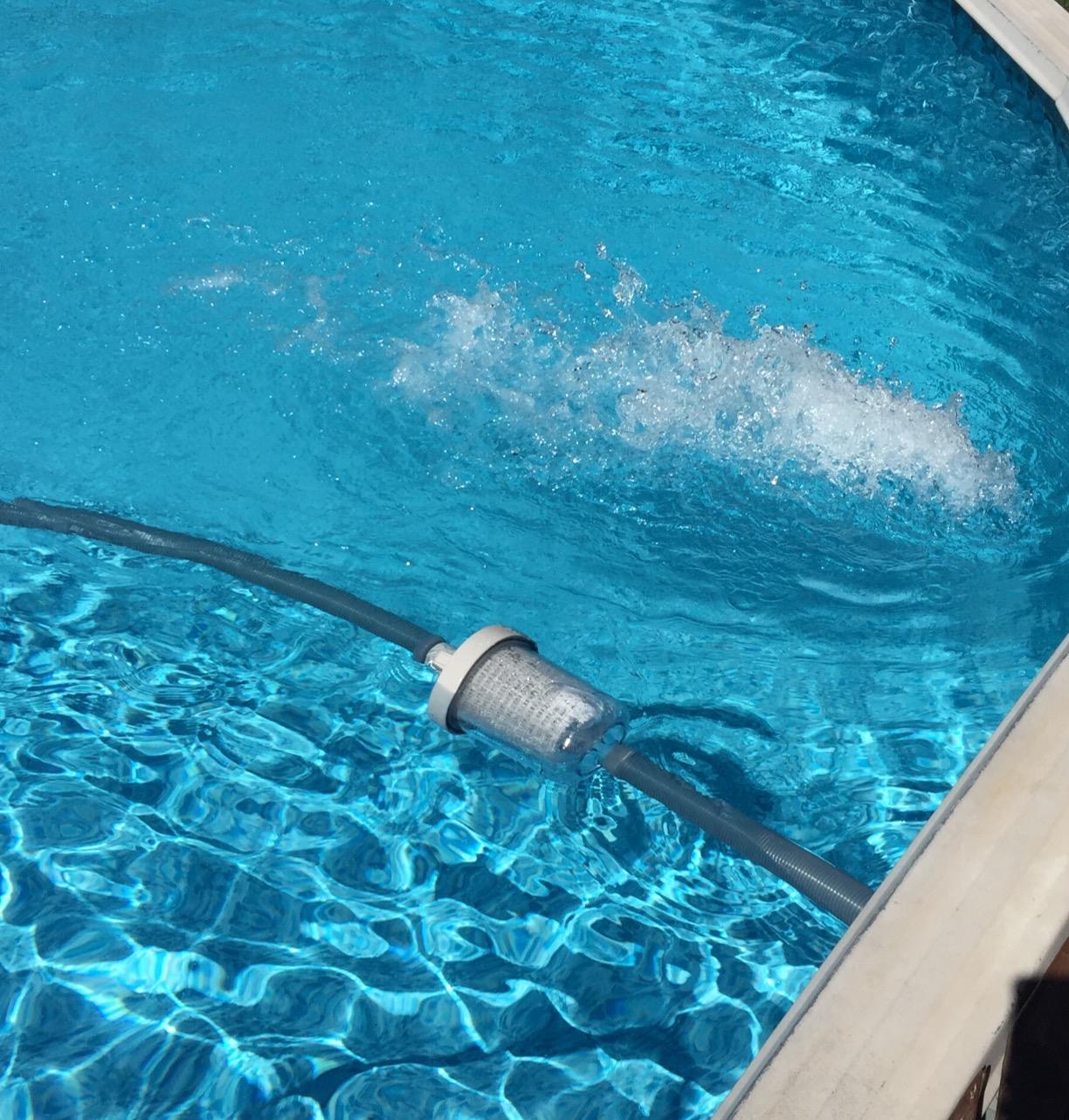 Pentair 360100 Kreepy Krauly Lil Shark Above Ground Pool Cleaner customer photo 2