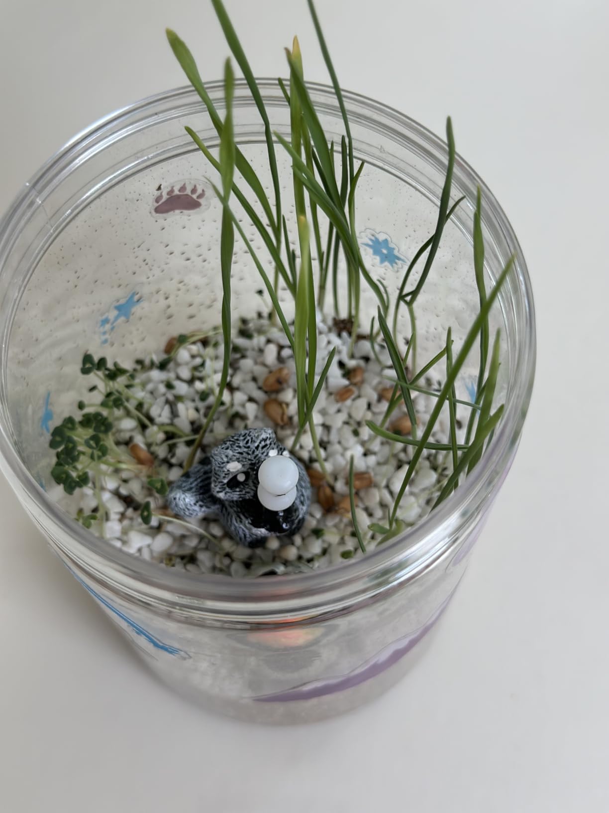 Creativity for Kids Grow 'N Glow Terrarium Kit - Educational Science Kits | Screen Free Summer Fun Activities | Gifts for Boys and Girls | Craft and STEM Projects (Ages 6+) customer photo 1