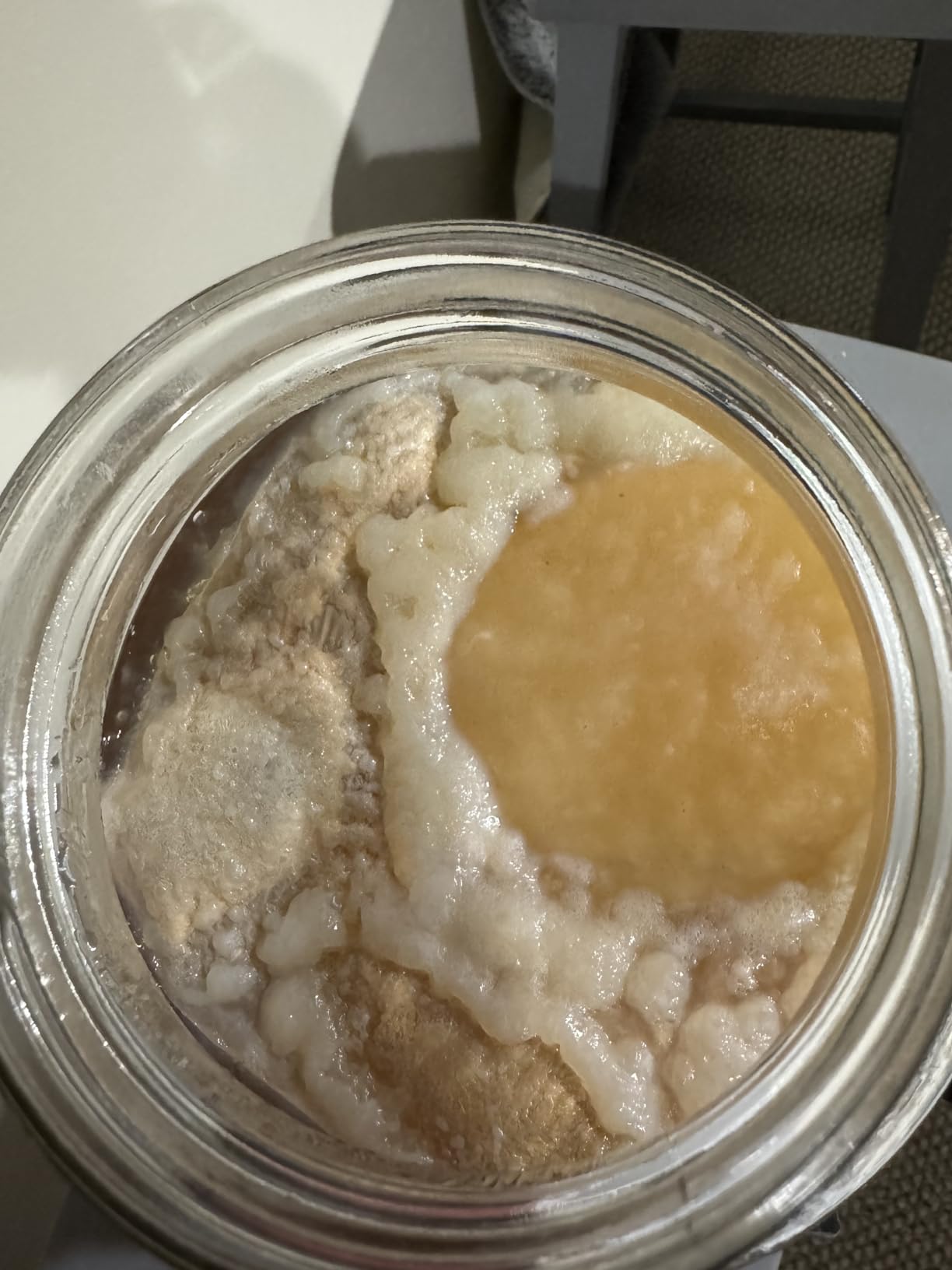 The Kombucha Shop Organic Kombucha Starter Kit - 1 Gallon Brewing Kit Includes All The Essentials Required for Brewing Kombucha At Home customer photo 1