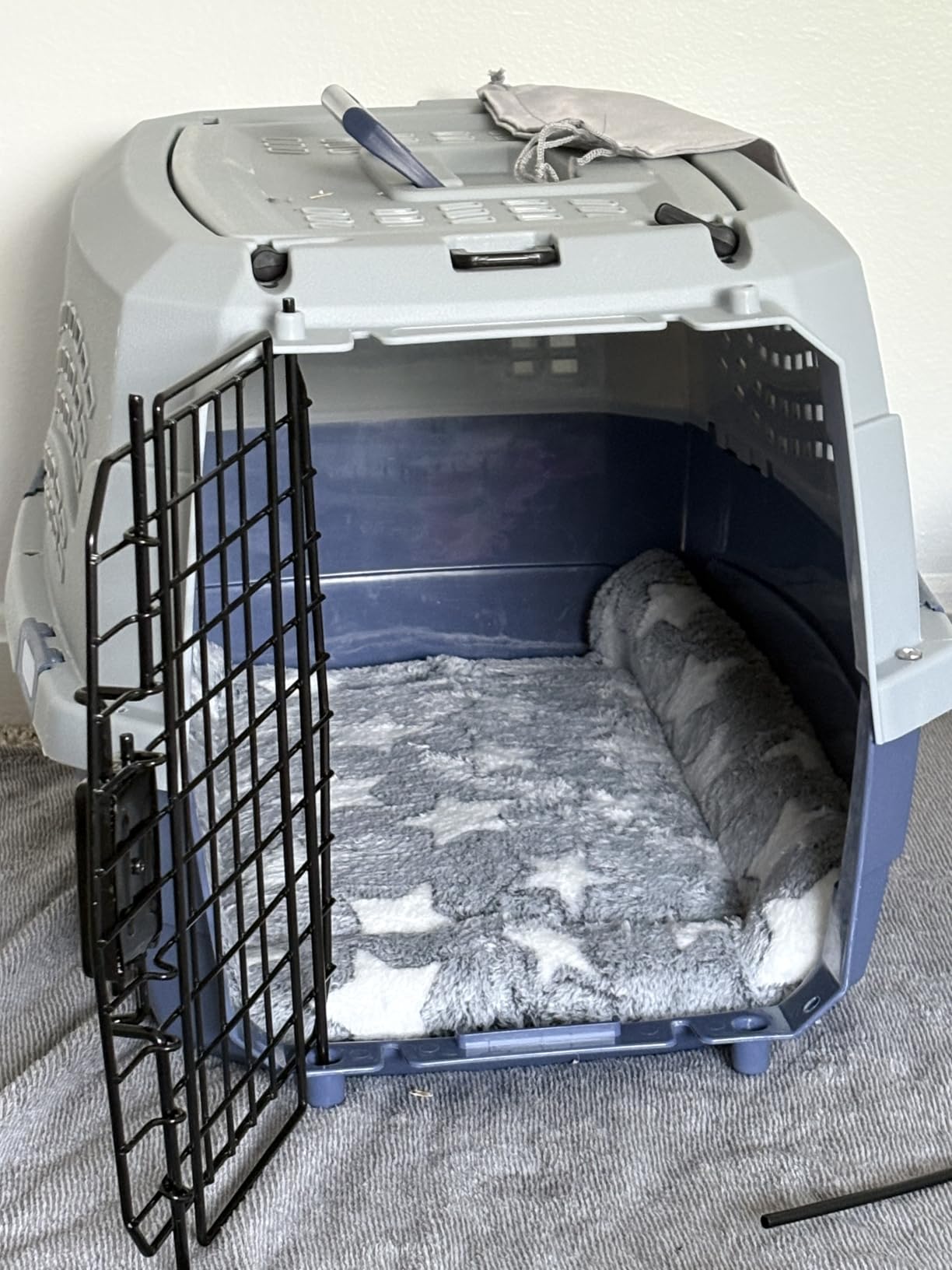 Amazon Basics Sturdy Portable 2-Door Top-Load Hard-Sided Pet Travel Carrier with Secure Ventilation, Handle, Front & Top Entry for Dogs, Cats, 22.8