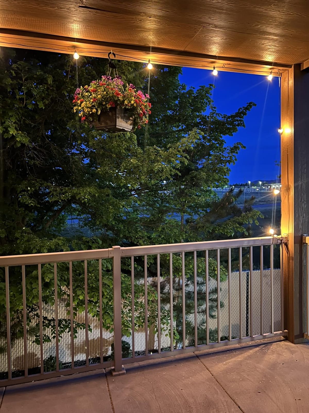 Brightown Outdoor String Lights, 29FT G40 LED IP65 Waterproof Patio Lights customer photo 2