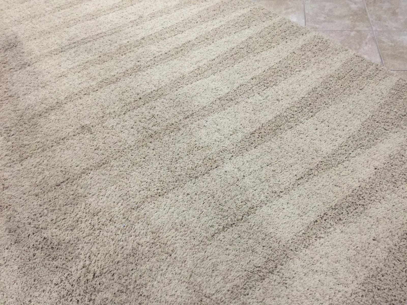 Dyson Ball Allergy Upright Vacuum customer photo 1