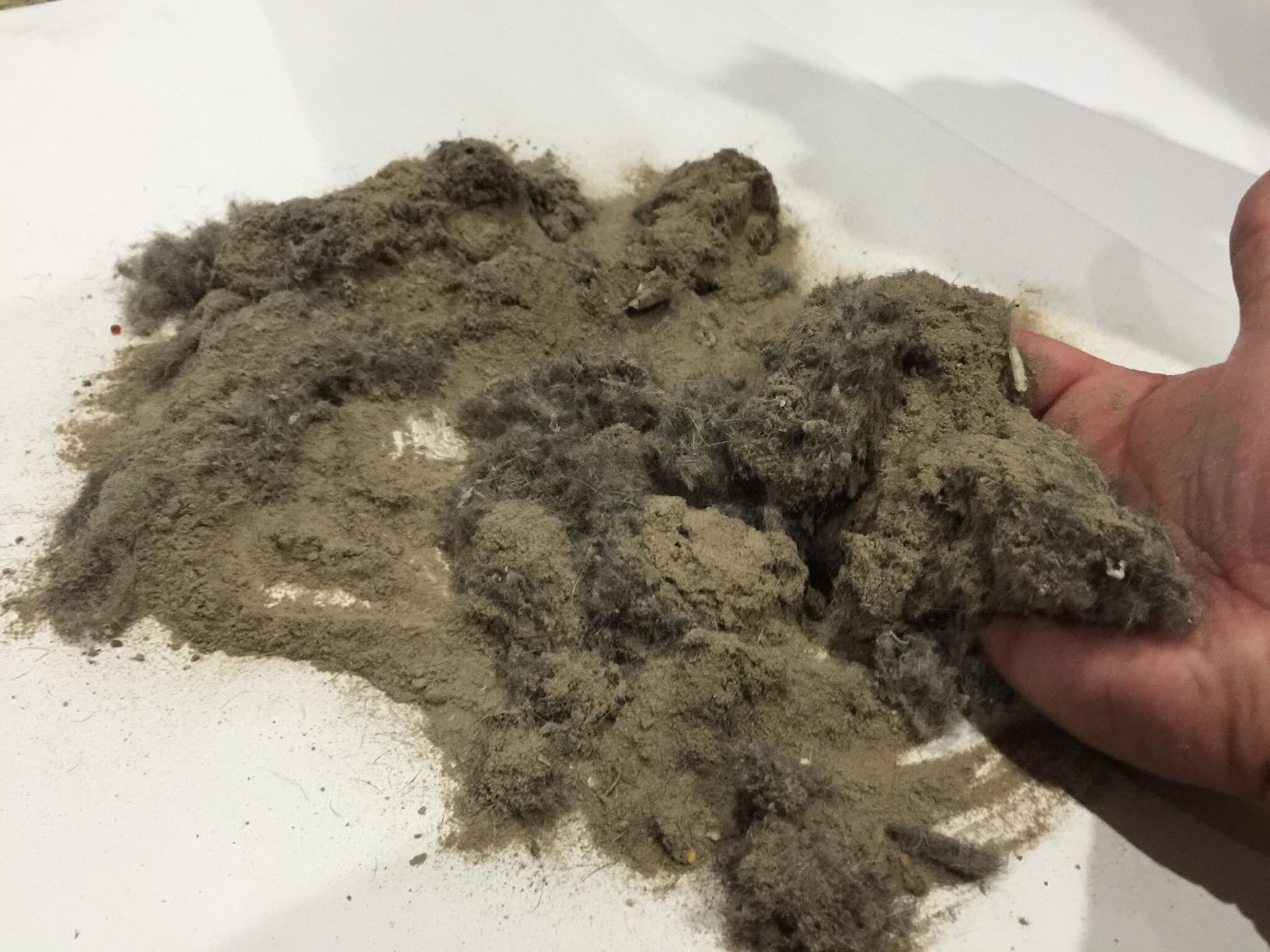 Dyson Ball Allergy Upright Vacuum customer photo 2