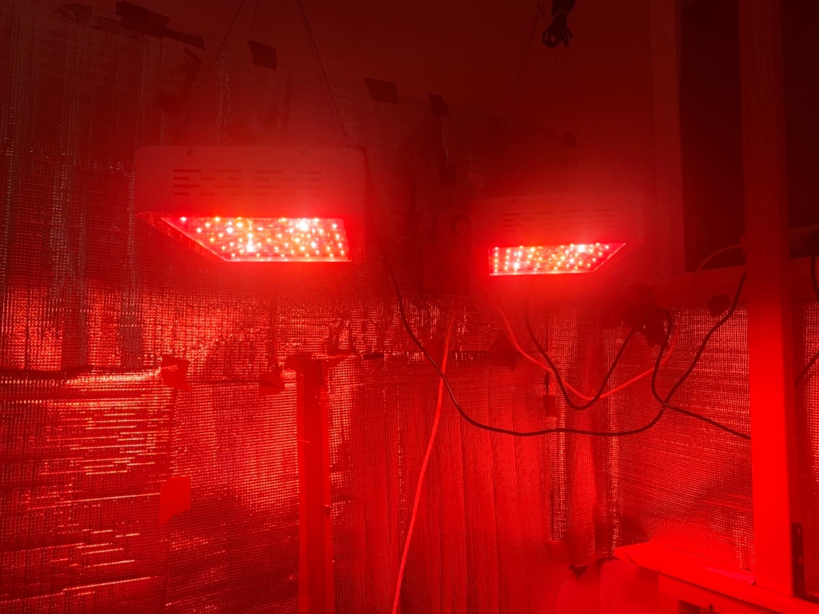 KingLED KP1000 Grow Light for Indoor Plants, Fits 2x2, 2x3 & 2x4 ft Tents customer photo 1