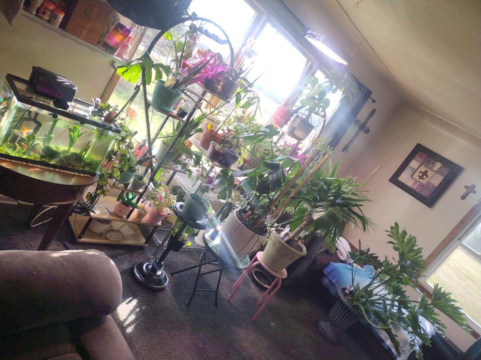 KingLED KP1000 Grow Light for Indoor Plants, Fits 2x2, 2x3 & 2x4 ft Tents customer photo 2