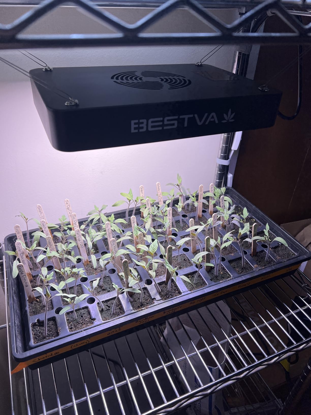 BESTVA DC1000 Grow Light for Indoor Plants, Full Spectrum LED Plant Light customer photo 1
