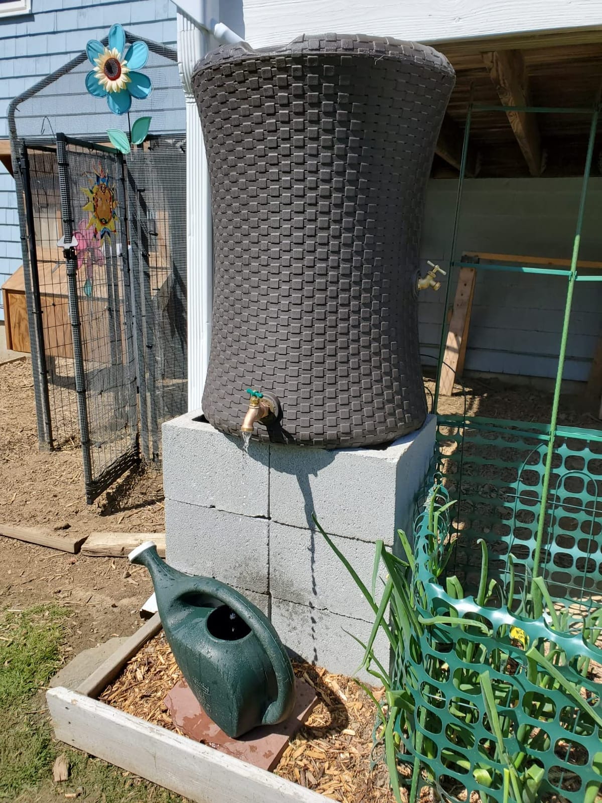 Good Ideas Impressions Nantucket Rain Water Collection Barrel, 50 Gallon | Dark Brown Rainwater Catcher, Outdoor Home Water Storage Collector with Garden Planter and Metal Spigots customer photo 1