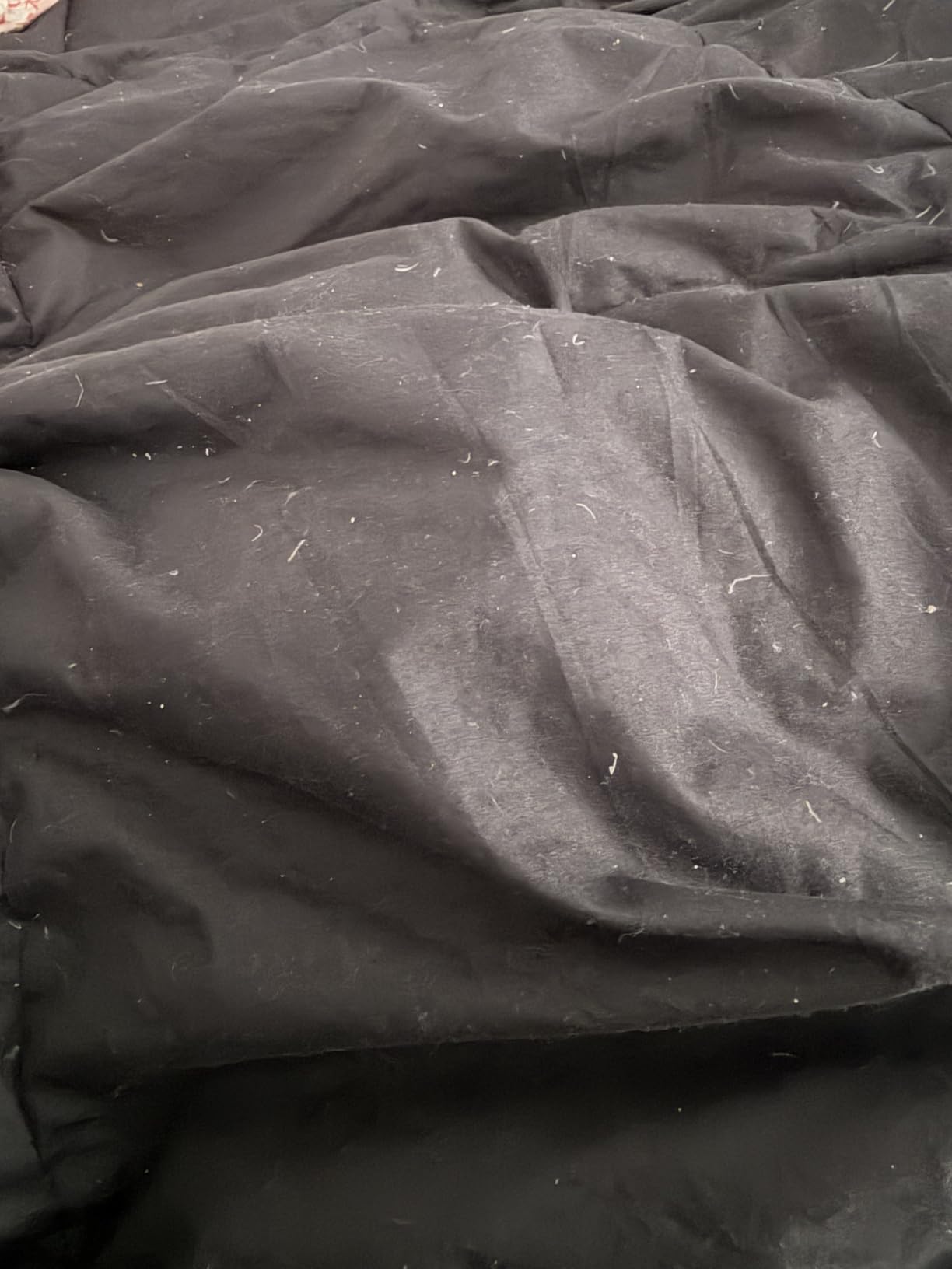 SNOWMAN Premium Down Comforter Queen Size, Khaki Duvet Insert All Season customer photo 2