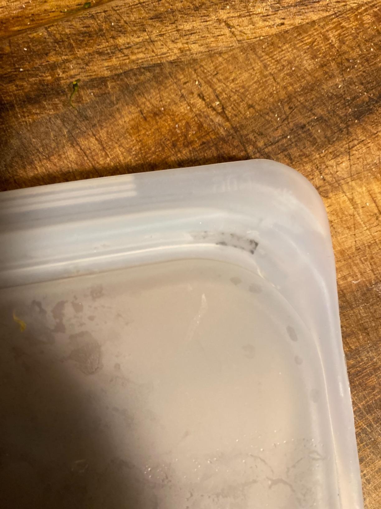 Stasher Premium Reusable Silicone Food Storage Sandwich Bag, Clear, 28 oz customer photo 1