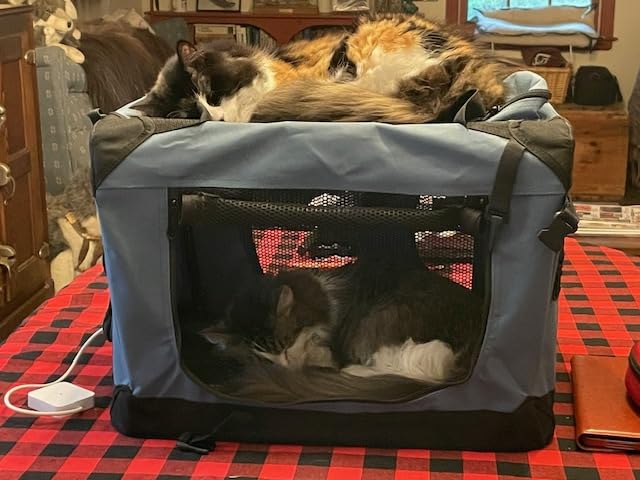 EliteField 3-Door Soft Dog Crate with Bed & Carrying Bag (2-Year Warranty) customer photo 2