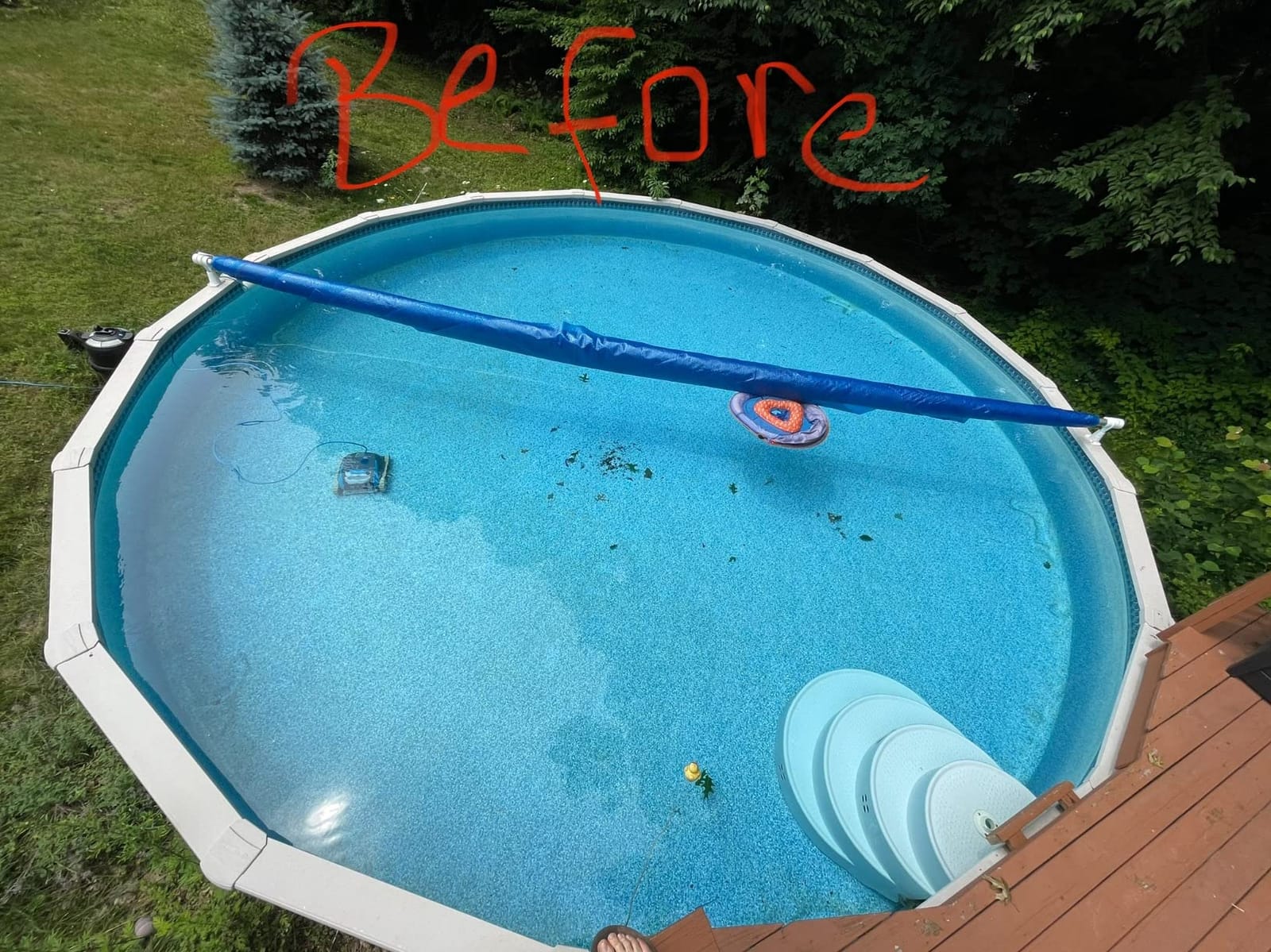 Dolphin Escape Robotic Pool Cleaner (2026 Model) — Massive Top-Loading Filter, Dual Motors, HyperBrush, HyperGrip Tracks, Smart Navigation — for Above Ground & In-Ground Pools up to 33ft customer photo 2