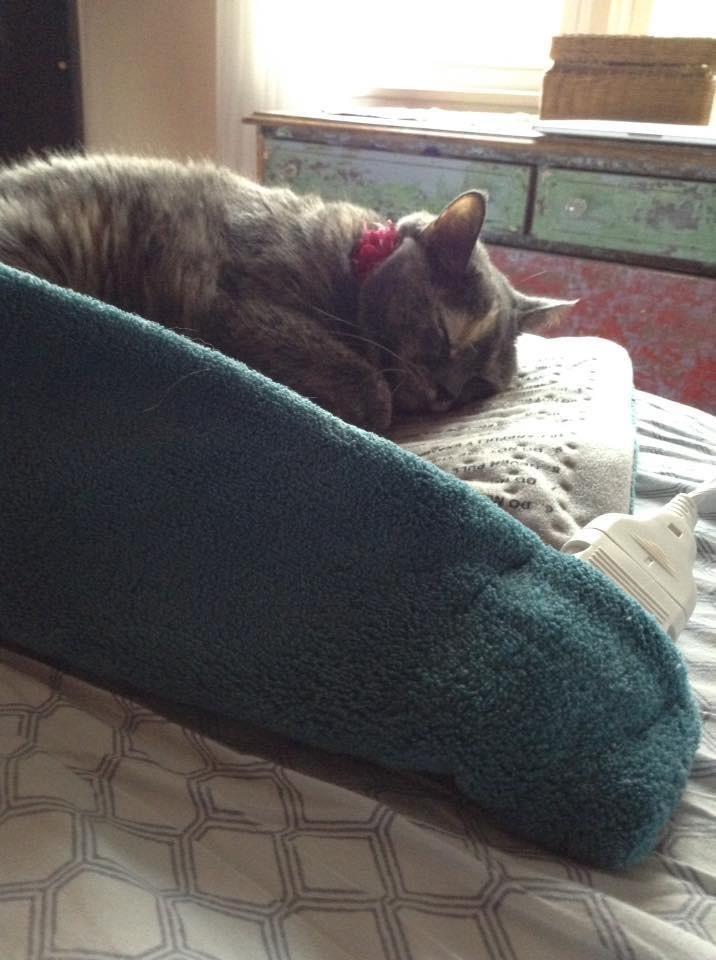 Pure Enrichment® PureRelief® XL Heating Pad - 12