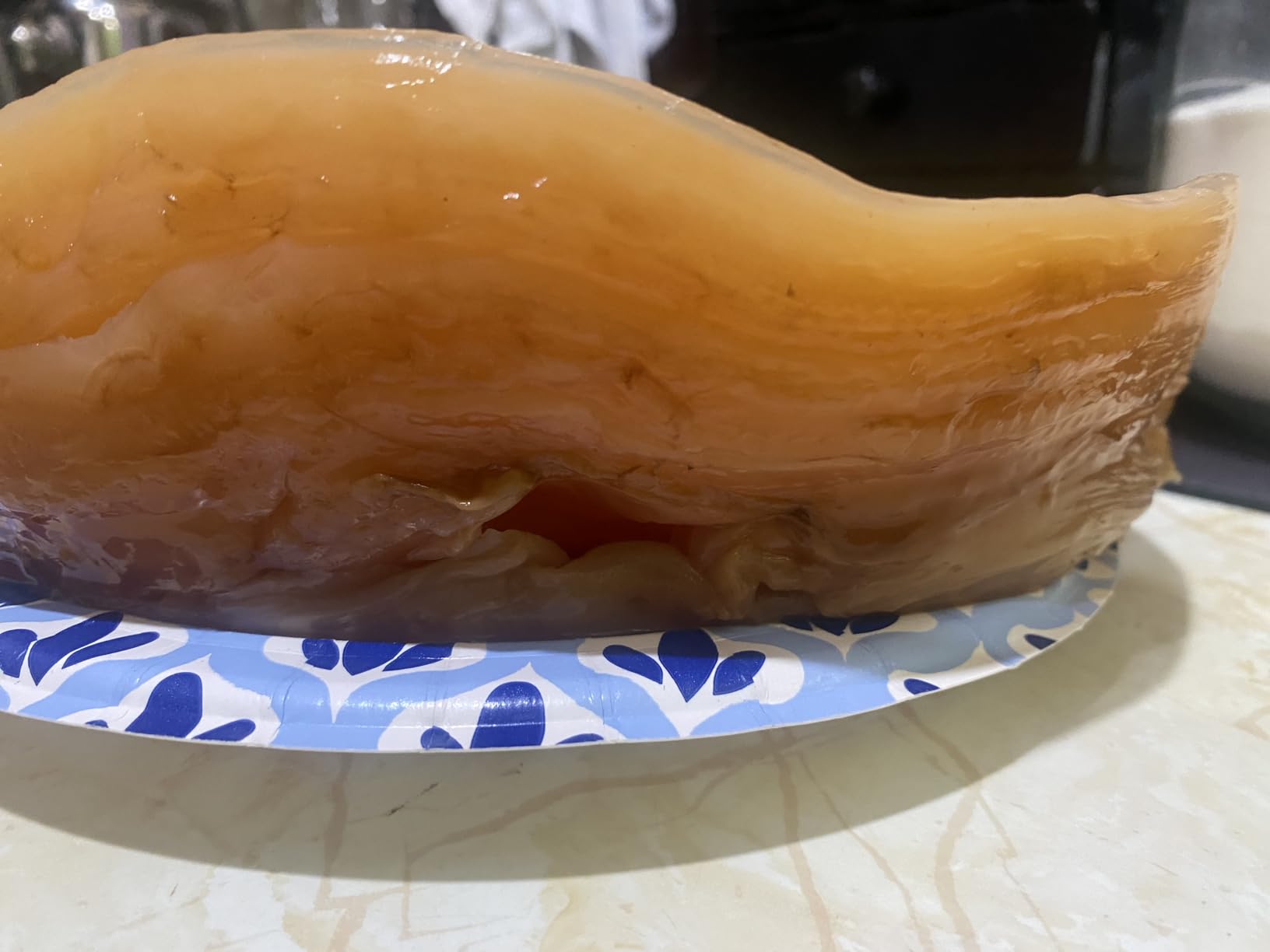 Fermentaholics ORGANIC Kombucha SCOBY With Twelve Ounces of Starter Tea - Live Starter Culture - Makes A One Gallon Batch - 1.5 Cups of Strong Mature Starter Tea - Brew Your Own Kombucha (1 Pack, 1, Count) customer photo 1