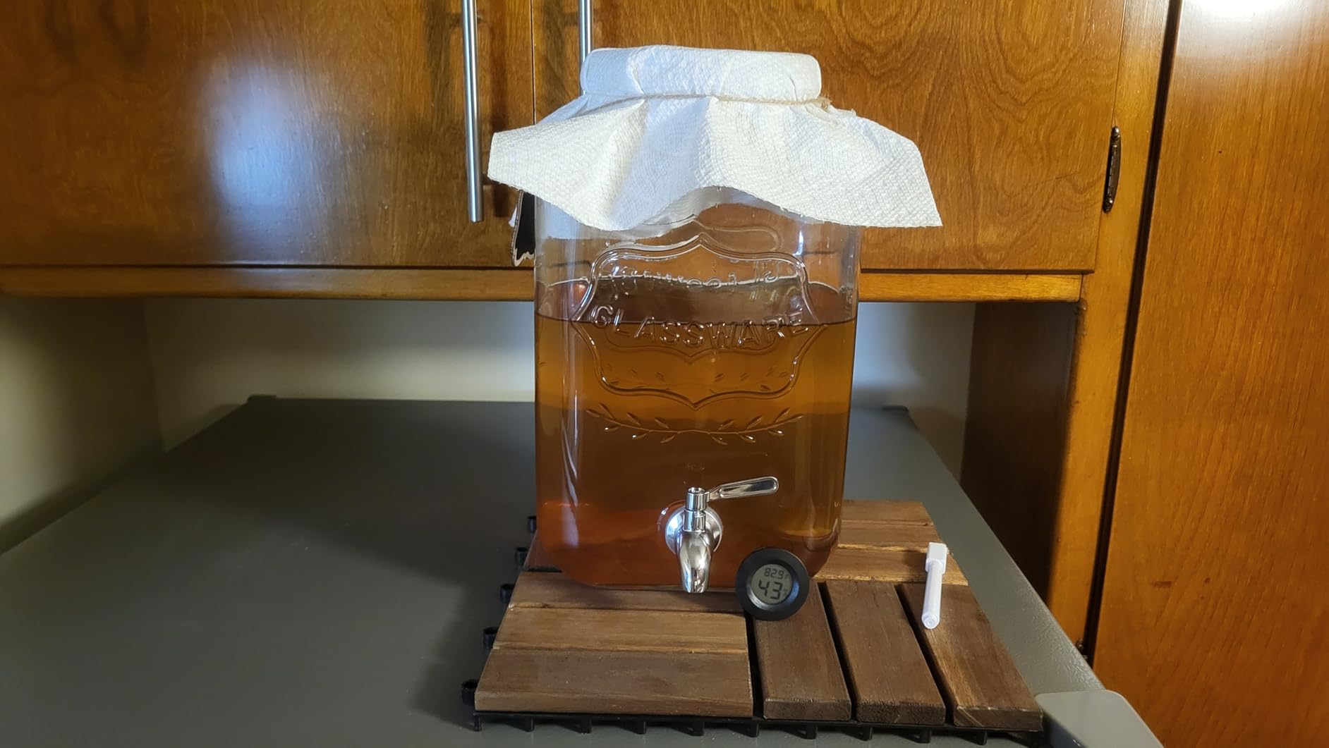 Fermentaholics ORGANIC Kombucha SCOBY With Twelve Ounces of Starter Tea - Live Starter Culture - Makes A One Gallon Batch - 1.5 Cups of Strong Mature Starter Tea - Brew Your Own Kombucha (1 Pack, 1, Count) customer photo 2