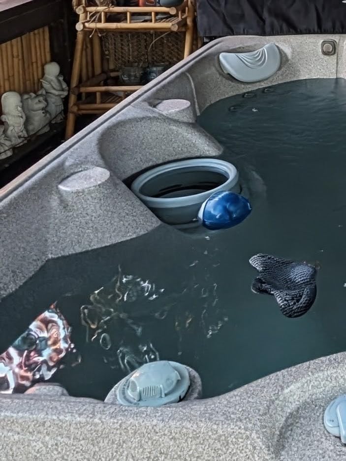 FROG @Ease Floating Sanitizing System for Hot Tubs, 4 Month Bundle customer photo 1
