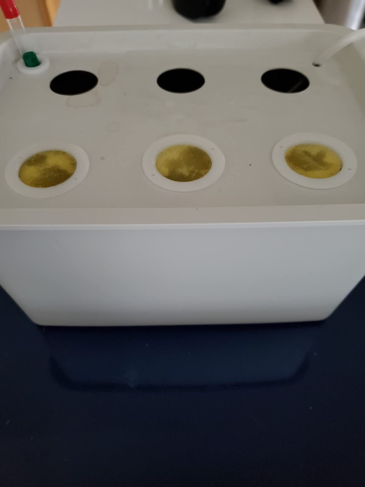Hydroponics Grower Kit DIY Self Watering Indoor Hydroponics Tools Hydroponic System Planting Container Include Aquarium Air Pump Buoy Planting Box customer photo 2
