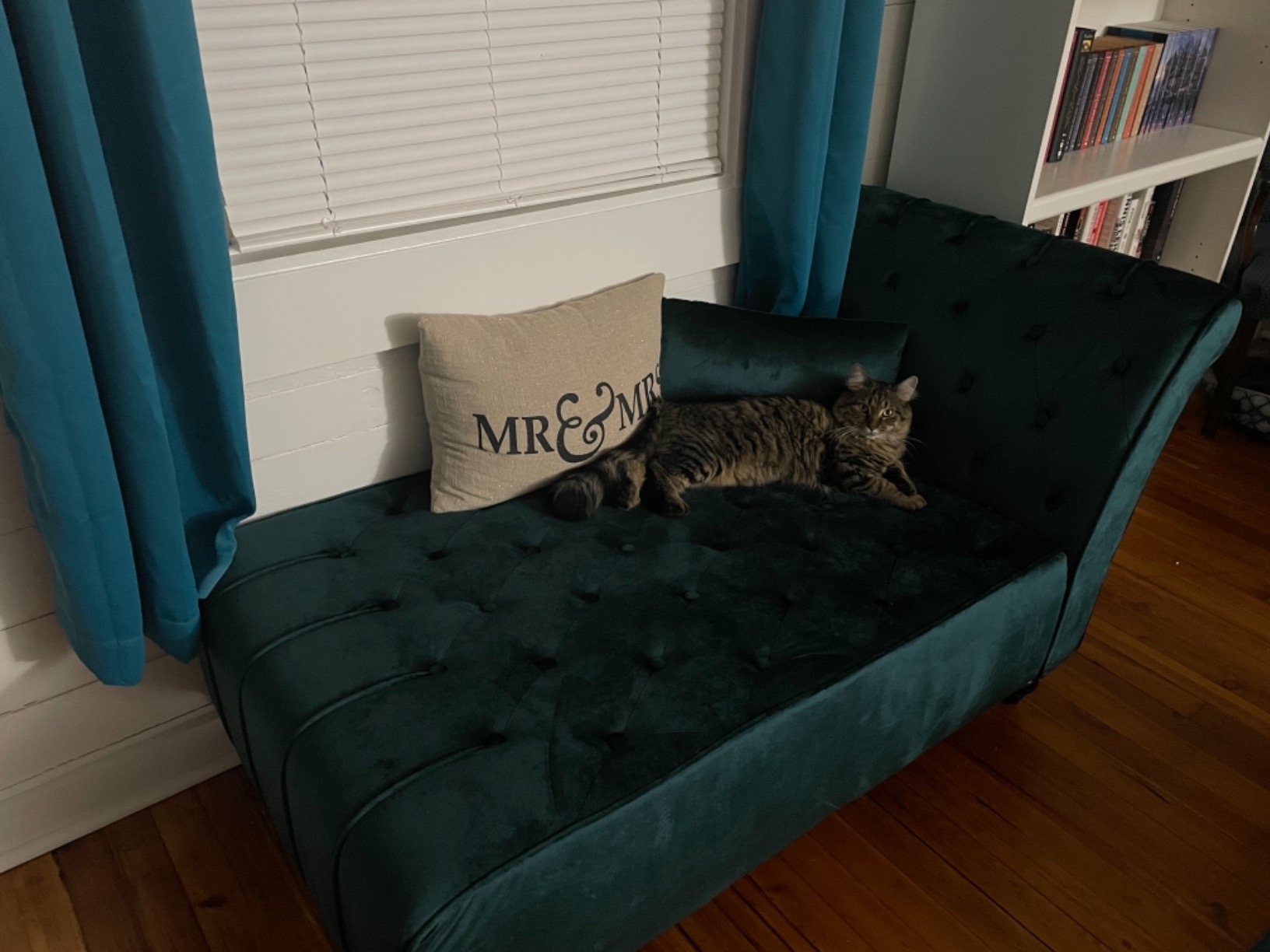 Christopher Knight Home Rafaela Modern Glam Tufted Velvet Chaise Lounge with Scrolled Backrest, Dark Teal and Dark Brown 54.5D x 28.5W x 30.25H in customer photo 2