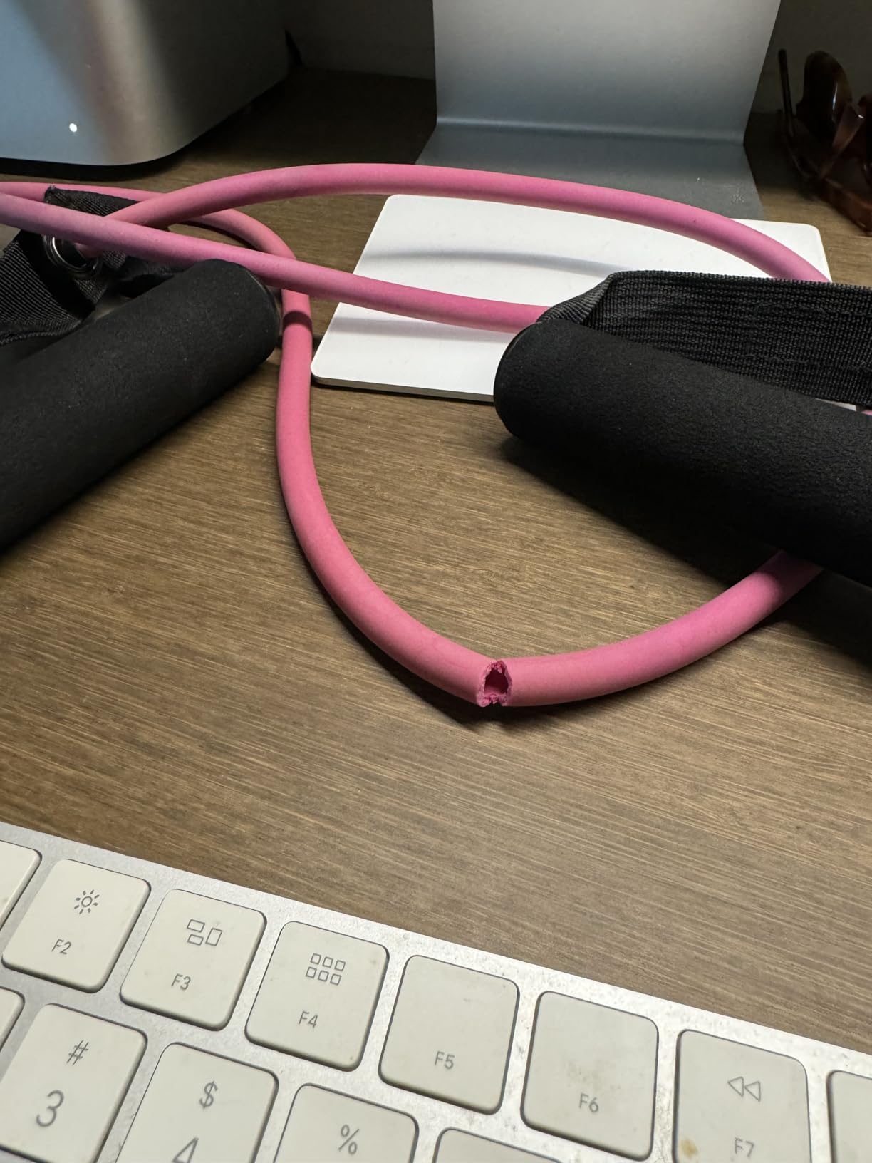 RitFit Single Resistance Bands with Handles Door Anchor for Home Gym customer photo 1