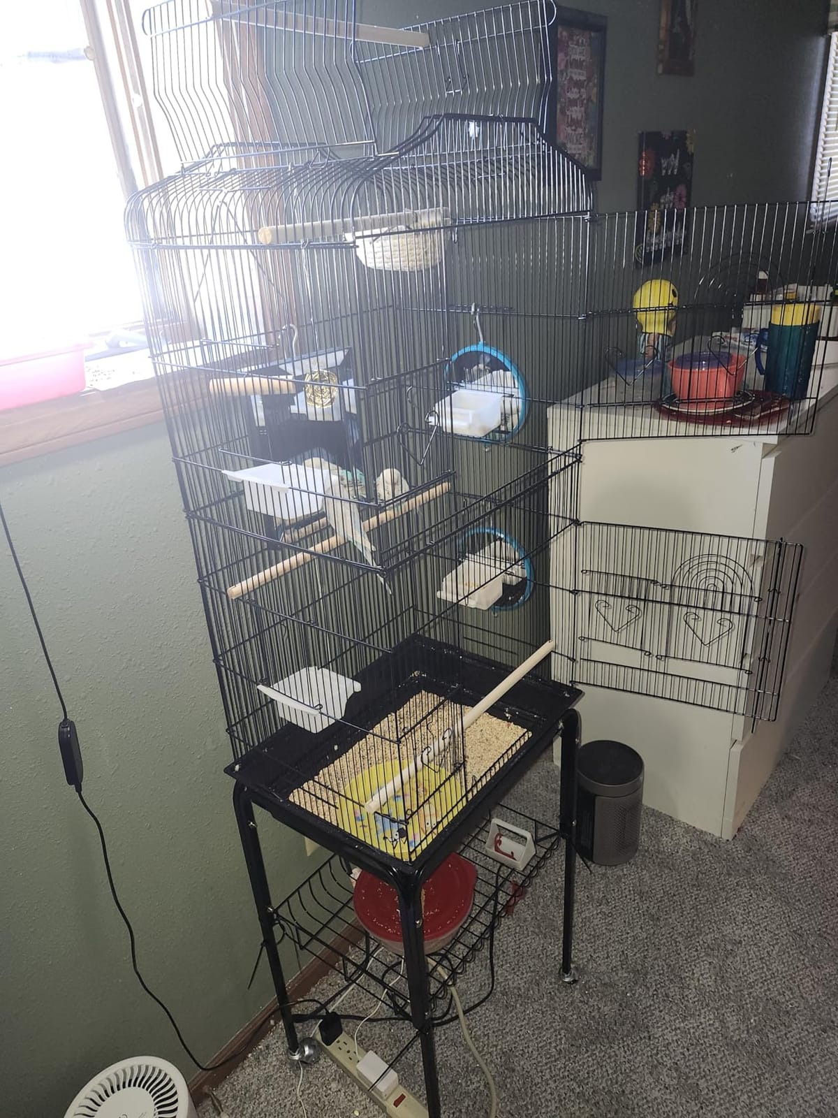 Yaheetech 64'' Open Top Bird Cage for Parakeets & Cockatiels, Black customer photo 2