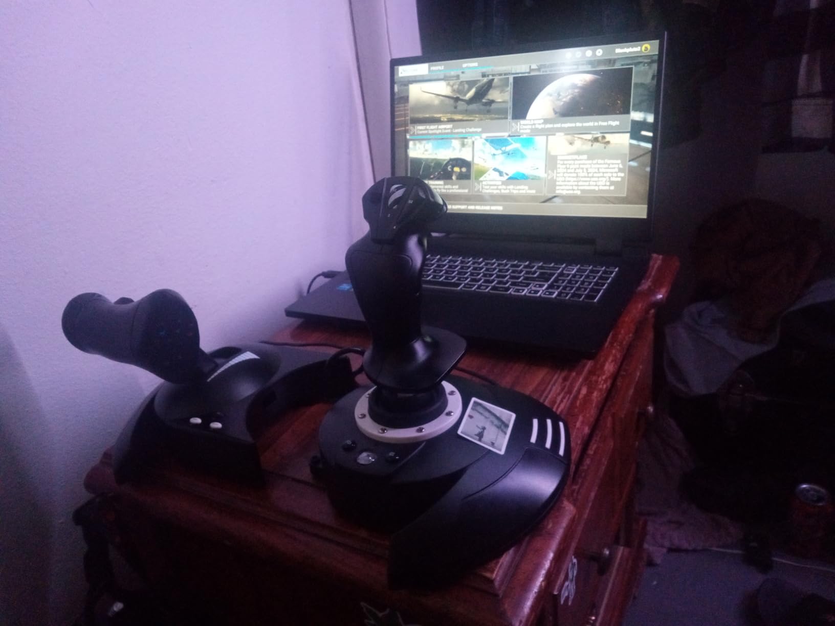 Thrustmaster T-Flight Hotas One Flight Stick & Throttle - XBOX & PC customer photo 2