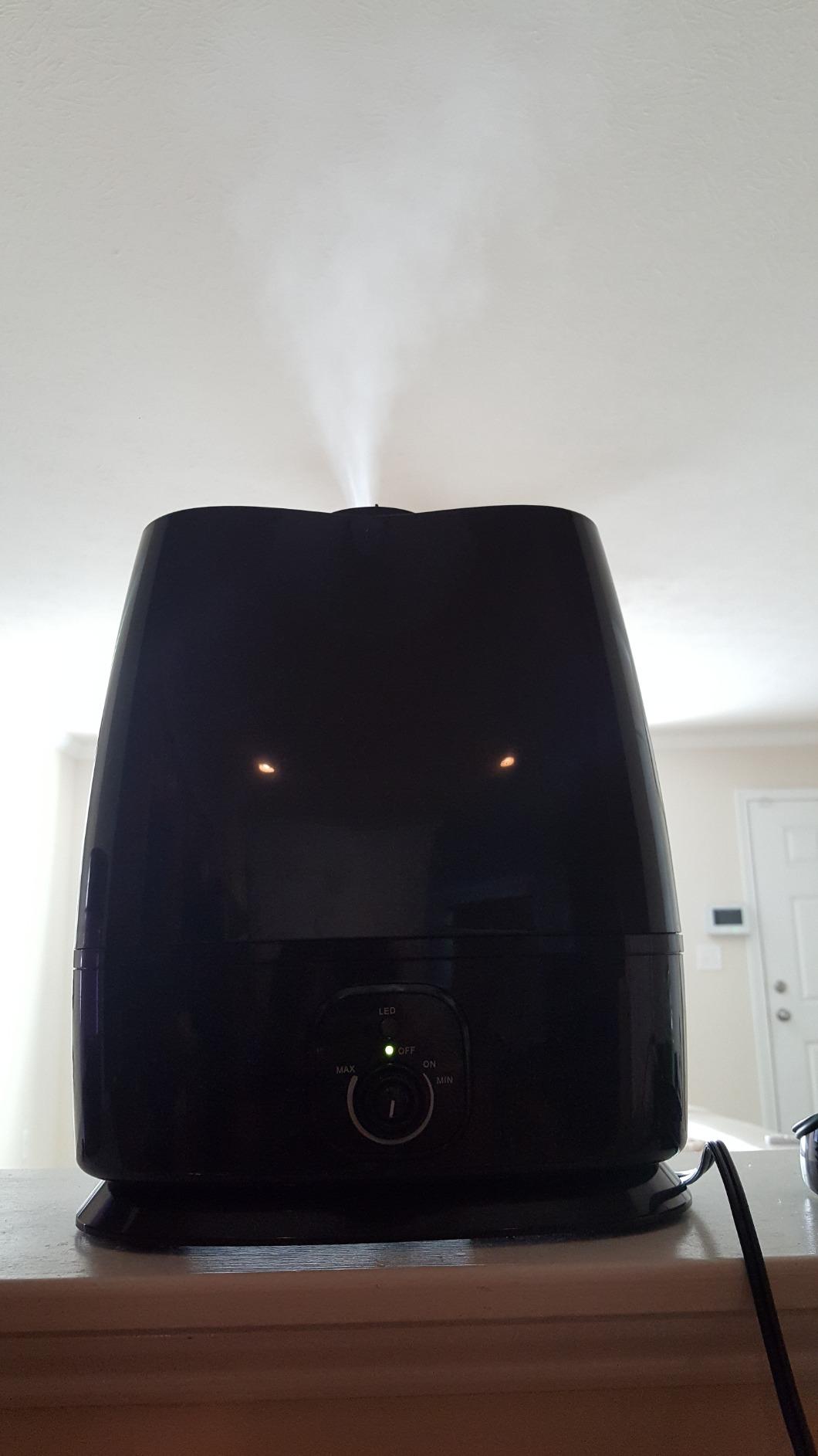 Everlasting Comfort 6L Humidifiers for Bedroom, Quiet 50HR Runtime No-Filter Supersized Cool Mist Humidifier Large Room for Whole House, Plants, Baby Nursery, Allergies, Dry Skin, Congestion, Indoor customer photo 1