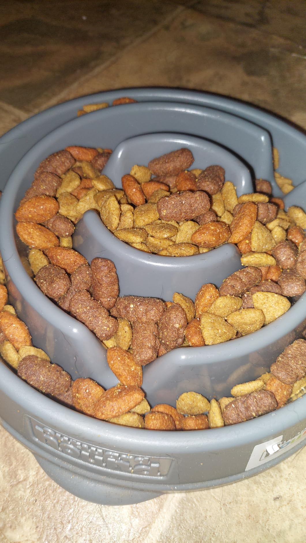 Outward Hound Fun Feeder Slo Bowl – Medium 2‑Cup Capacity, Slow Feeding, Small to Medium Dogs & Cats, Non-Slip, Blue, Notch Pattern customer photo 1