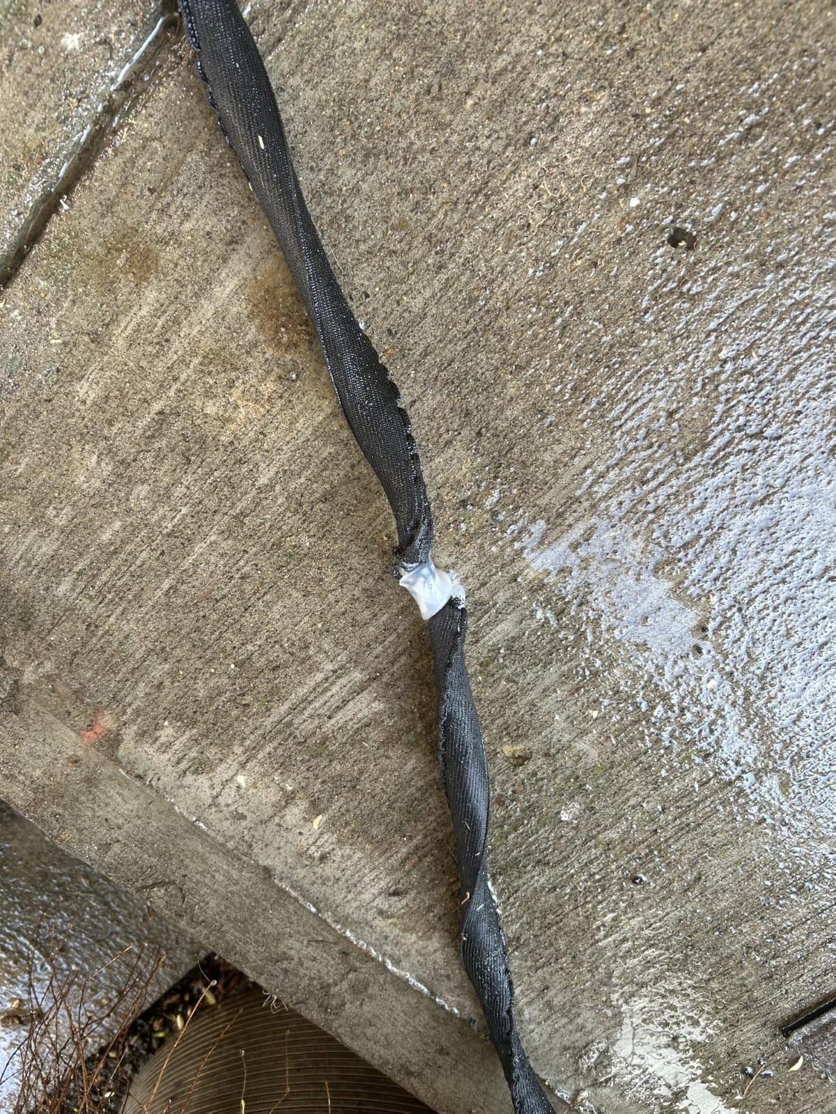 Stanley DuraflexPro Expanding Garden Hose, 50 Feet customer photo 1