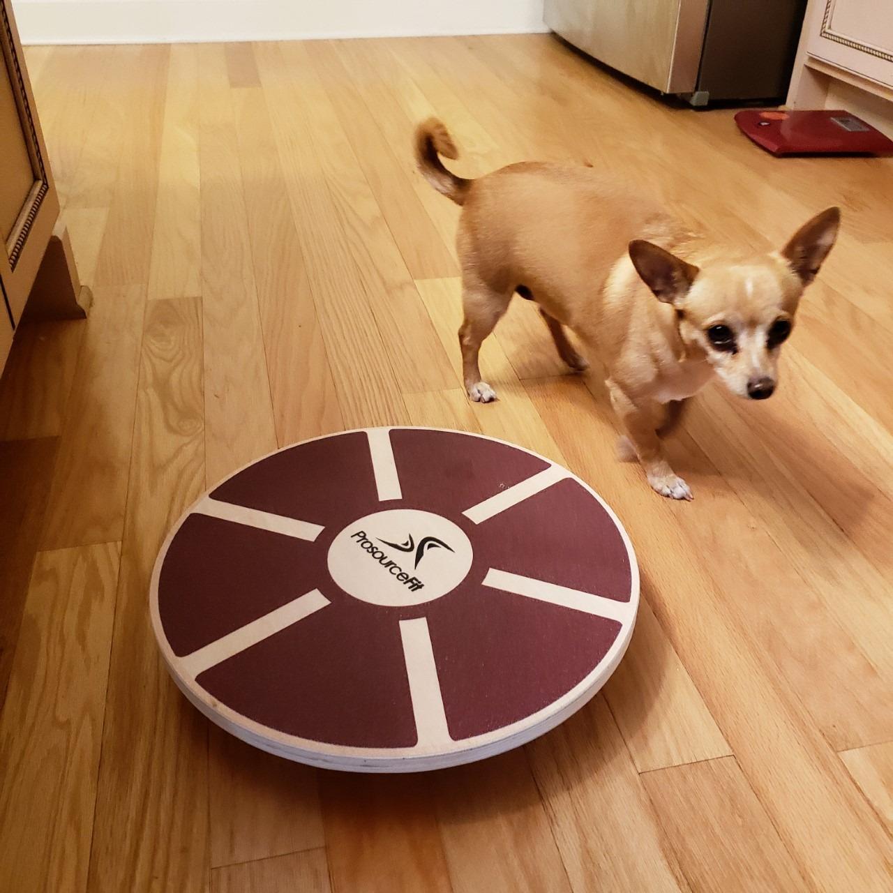 ProsourceFit Wooden Balance Board Non-Slip Wobble Core Trainer 15.75in (39.5cm) Diameter with 360 Rotation for Stability Training, Full Body Exercises, Physical Therapy customer photo 1