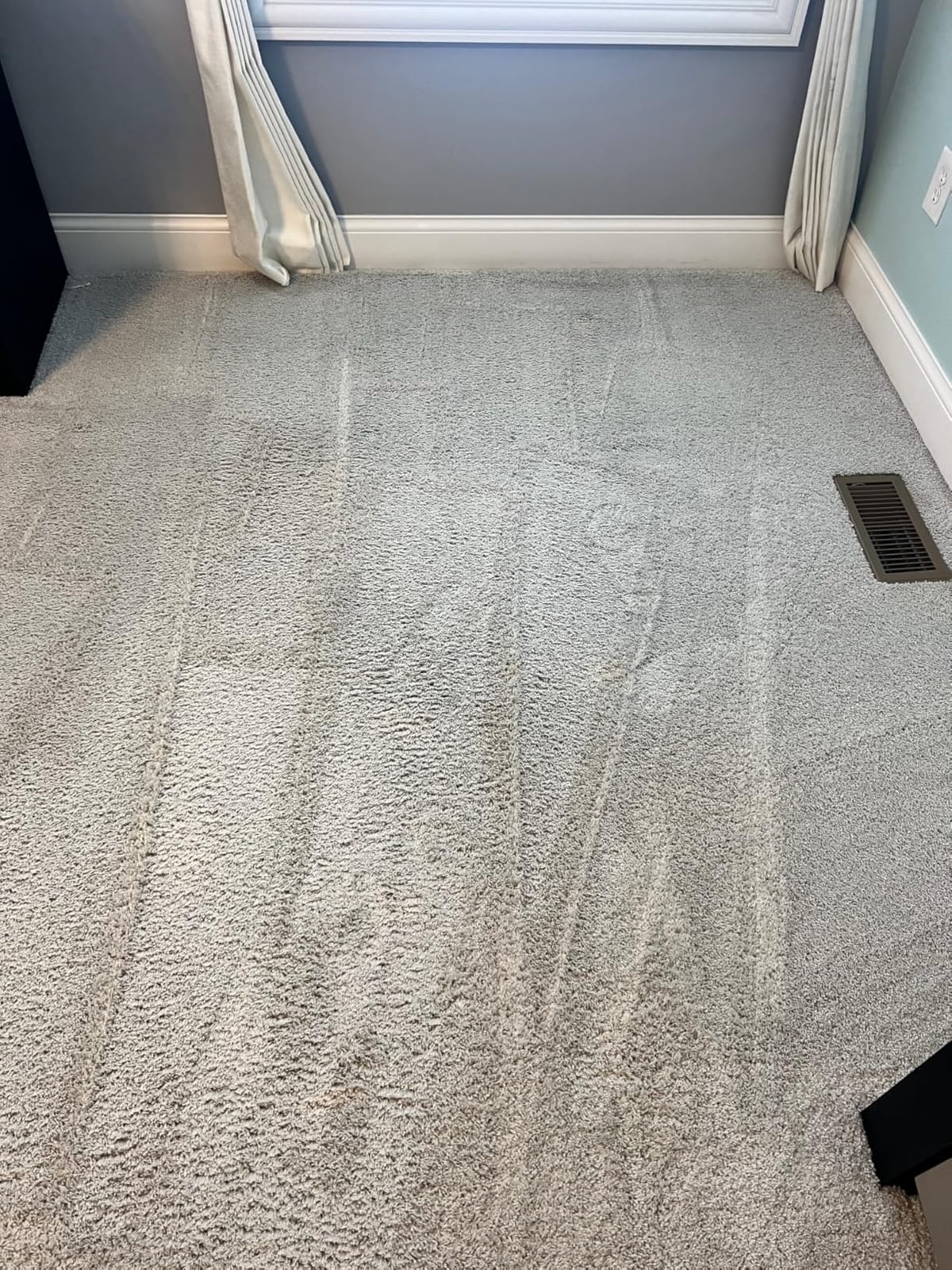 Bissell PET PRO OXY Urine Eliminator with Febreze Carpet Deep Clean Solution, with StainProtect Technology, for use in leading upright carpet cleaners, 48oz, Our best formula for pet messes & odors customer photo 2
