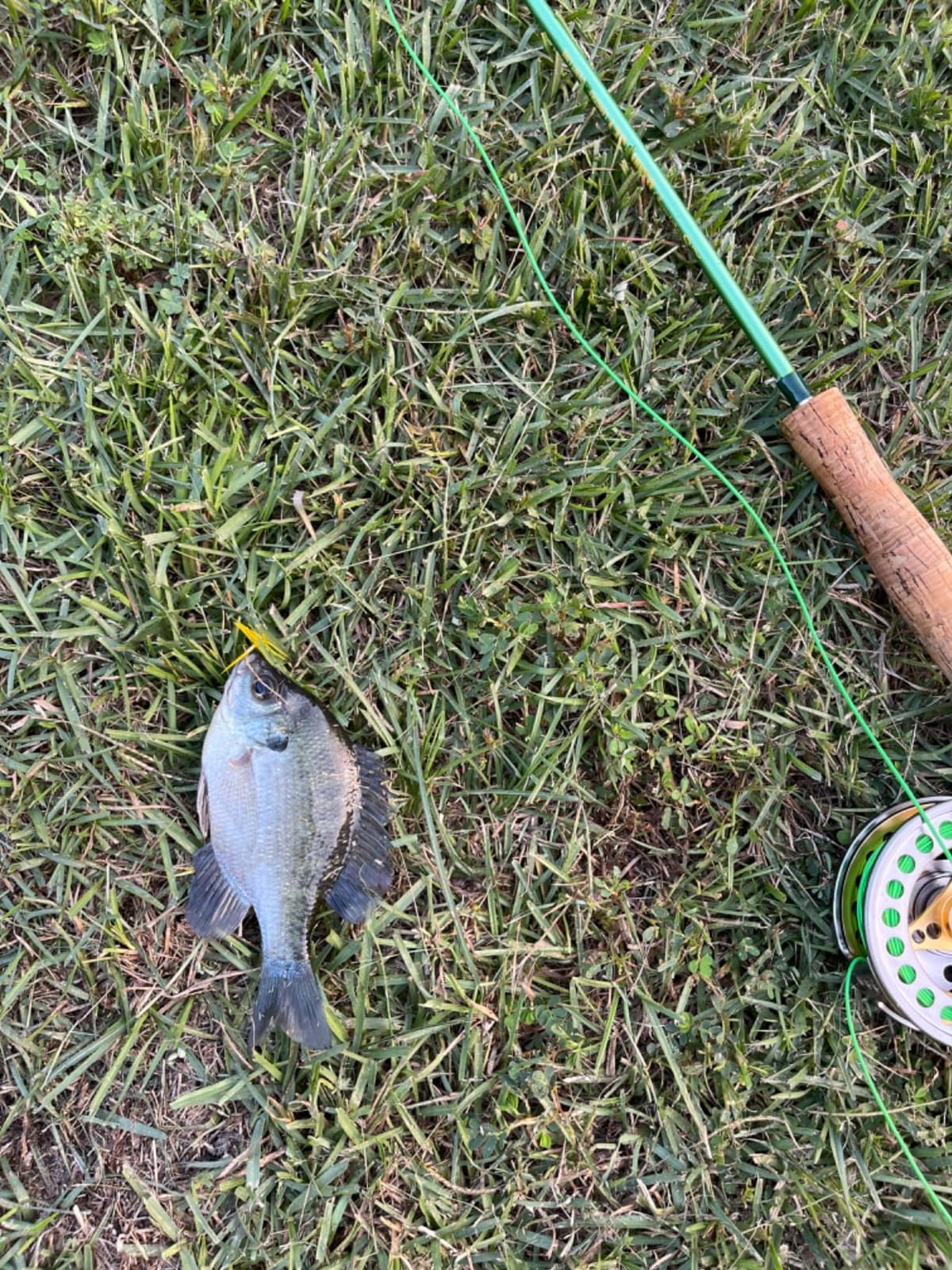 Sougayilang Fly Fishing Rod Reel Combos with Lightweight Portable Fly Rod and CNC-machined Aluminum Alloy Fly Reel,Fly Fishing Complete Starter Package customer photo 1